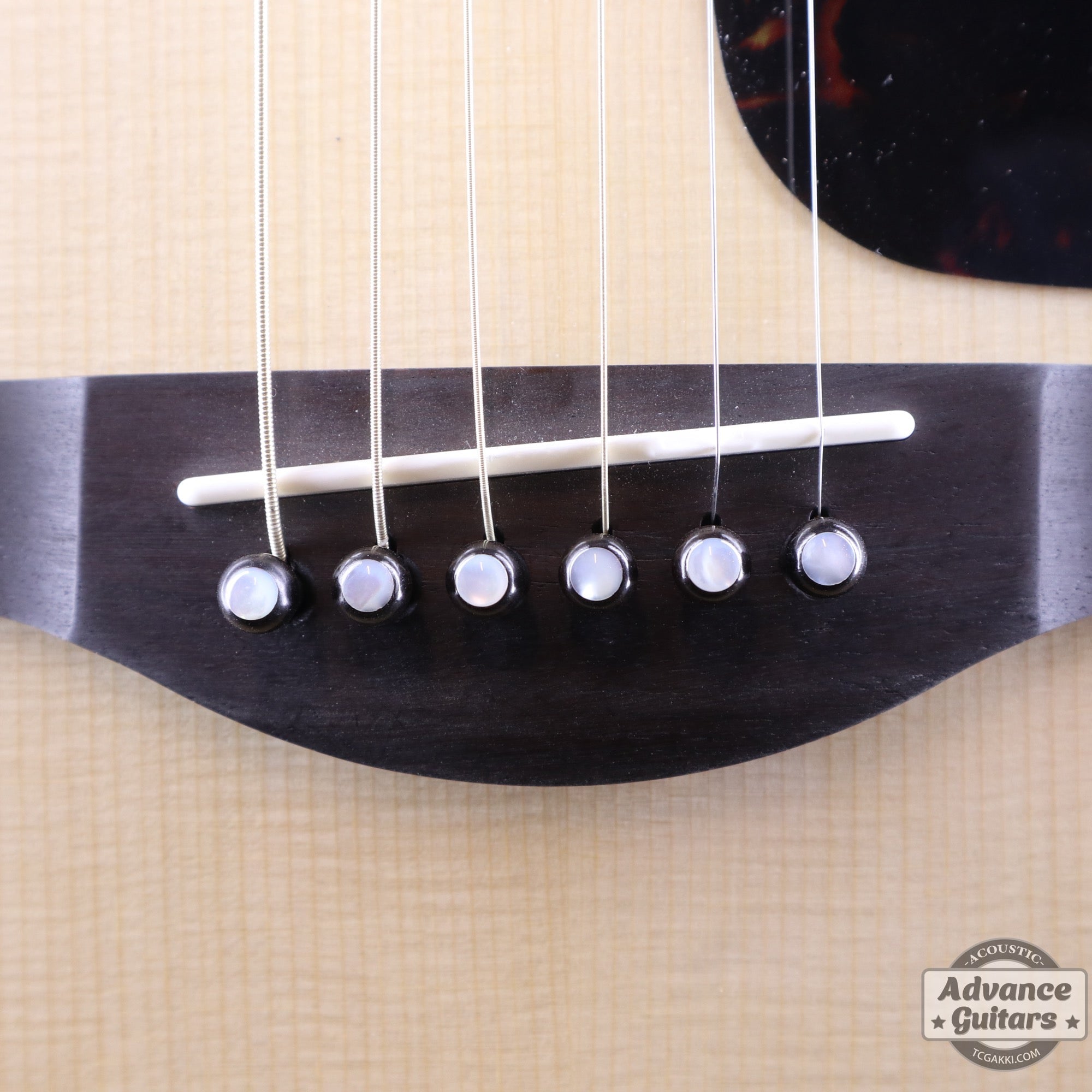 Preciso Domed Wood Bridge Pin & End Pin Set（Ebony & Mother of Pearl Dot） - TC楽器 - TCGAKKI
