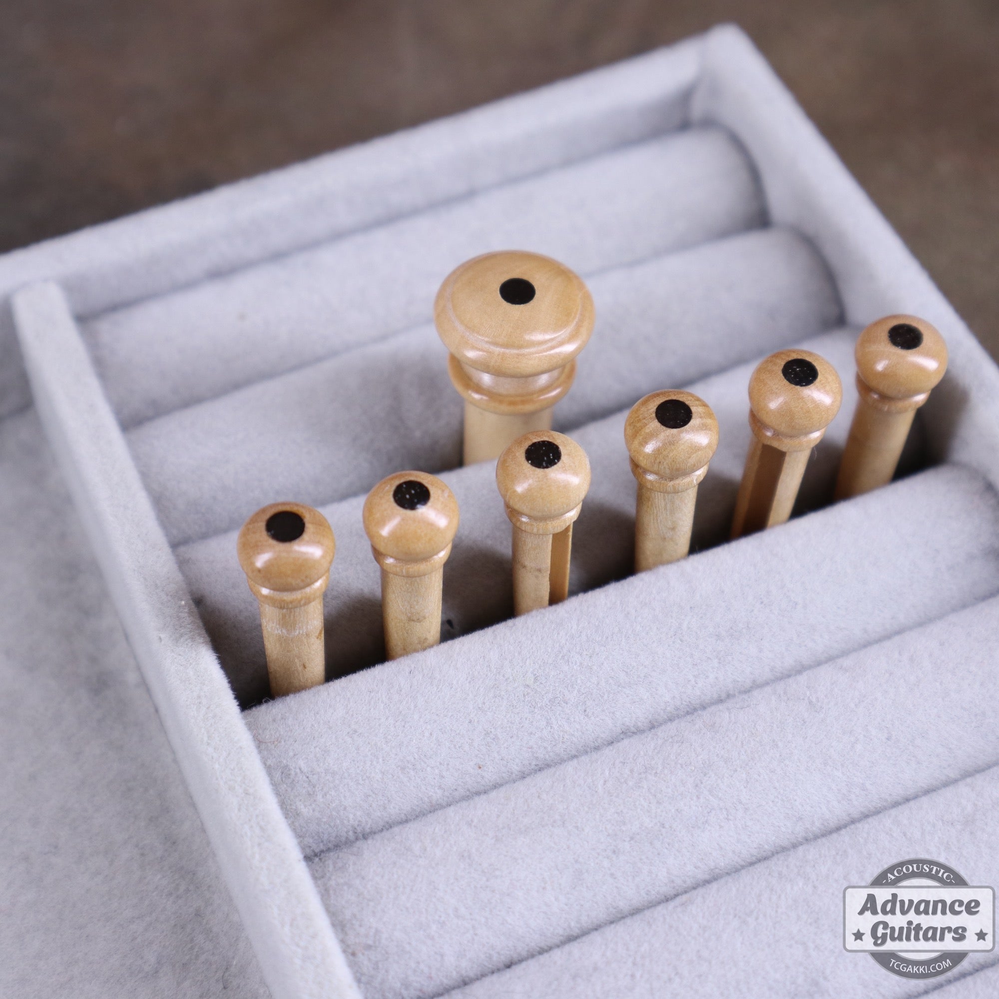 Preciso Wood Bridge Pin & End Pin Set（Boxwood & Ebony Dot） - TC楽器 - TCGAKKI