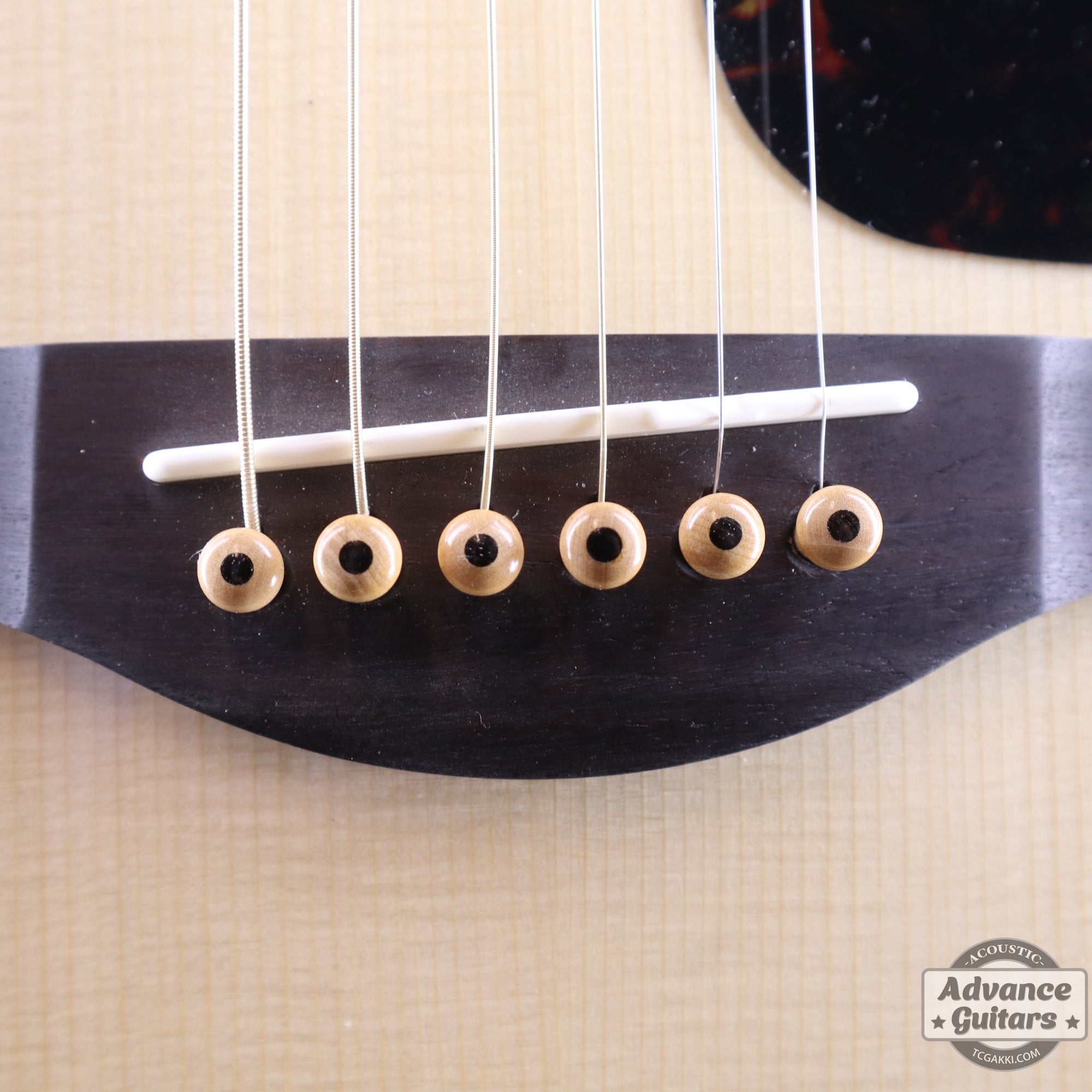 Preciso Wood Bridge Pin & End Pin Set（Boxwood & Ebony Dot） - TC楽器 - TCGAKKI