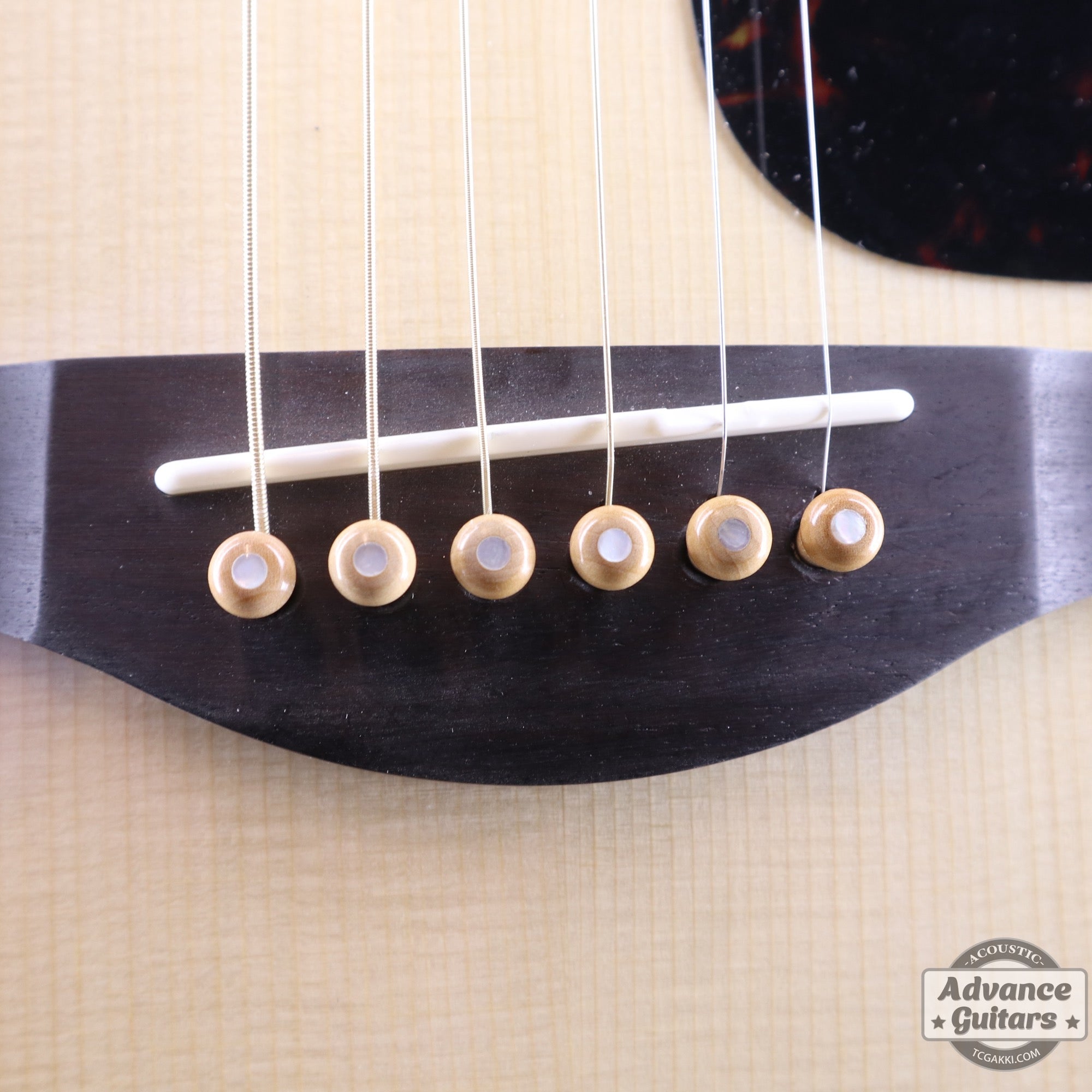 Preciso Wood Bridge Pin & End Pin Set（Boxwood & Mother of Pearl Dot） - TC楽器 - TCGAKKI