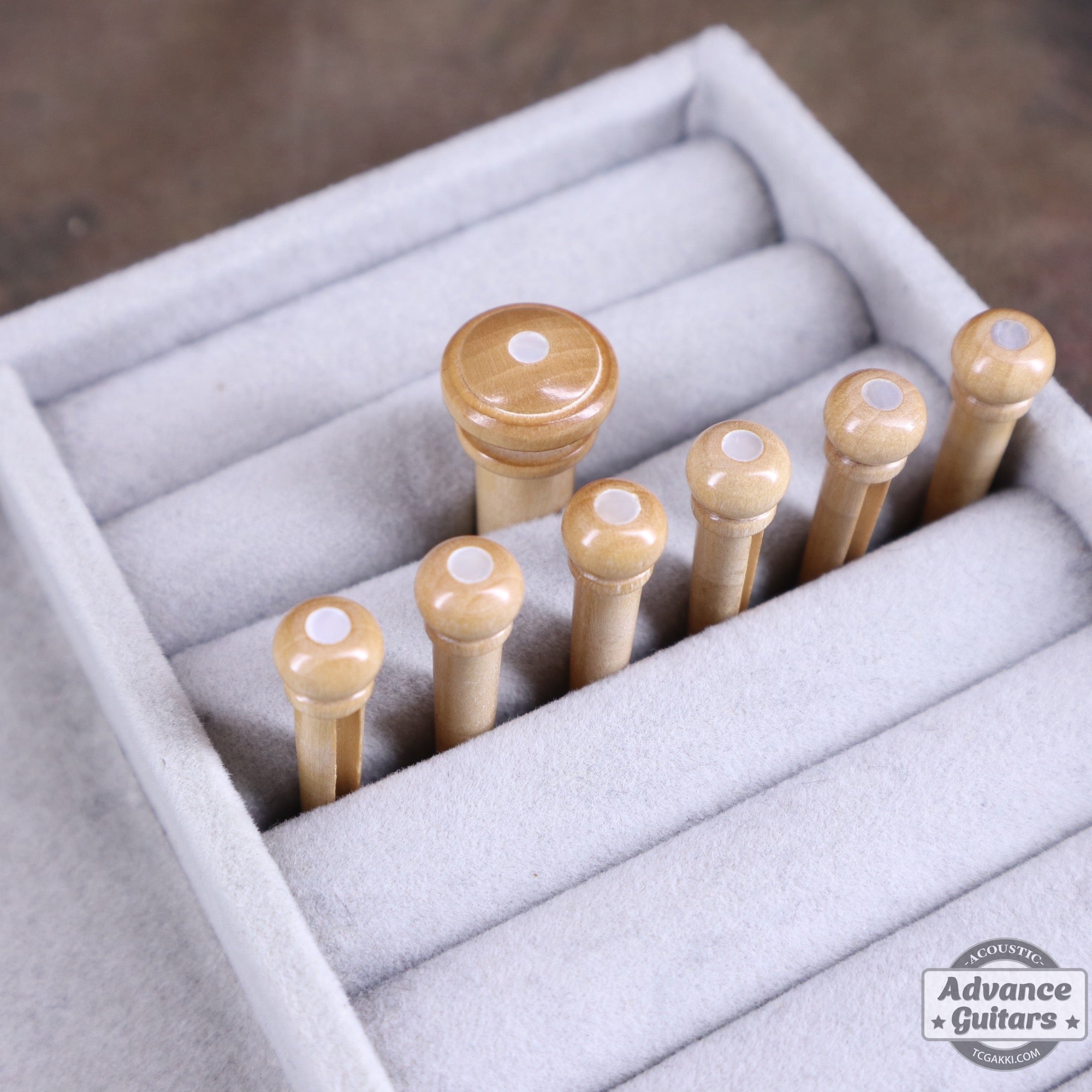 Preciso Wood Bridge Pin & End Pin Set（Boxwood & Mother of Pearl Dot） - TC楽器 - TCGAKKI