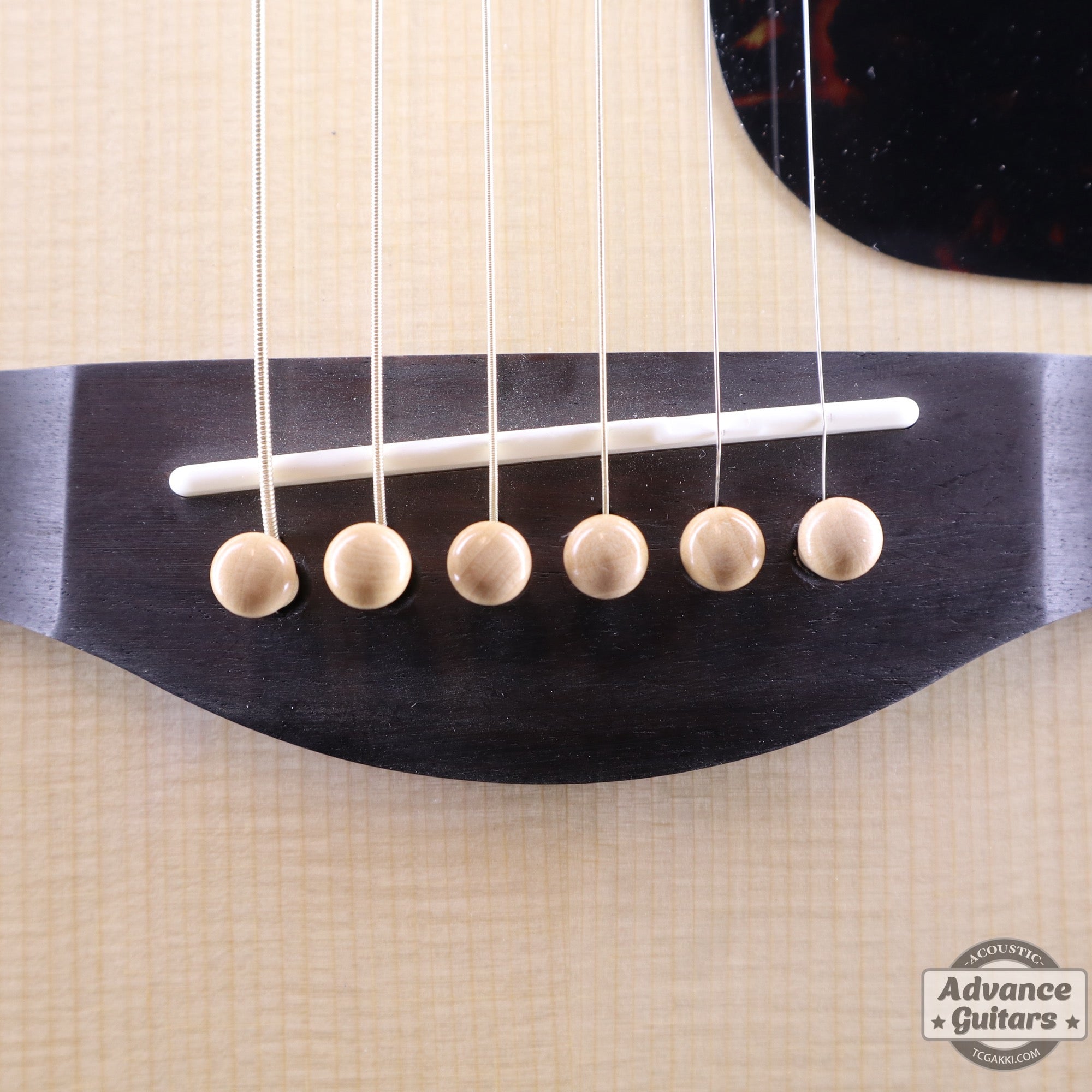 Preciso Wood Bridge Pin & End Pin Set（Boxwood Plain） - TC楽器 - TCGAKKI