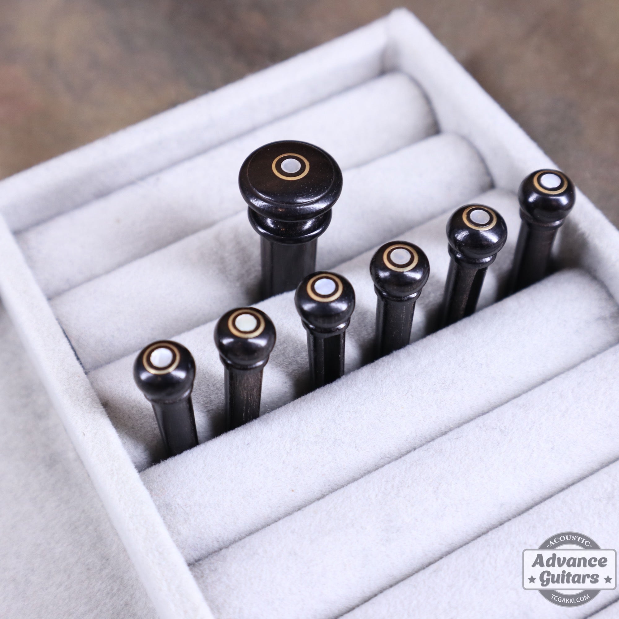 Preciso Wood Bridge Pin & End Pin Set（Ebony & Mother of Pearl & Parisian Eye） - TC楽器 - TCGAKKI