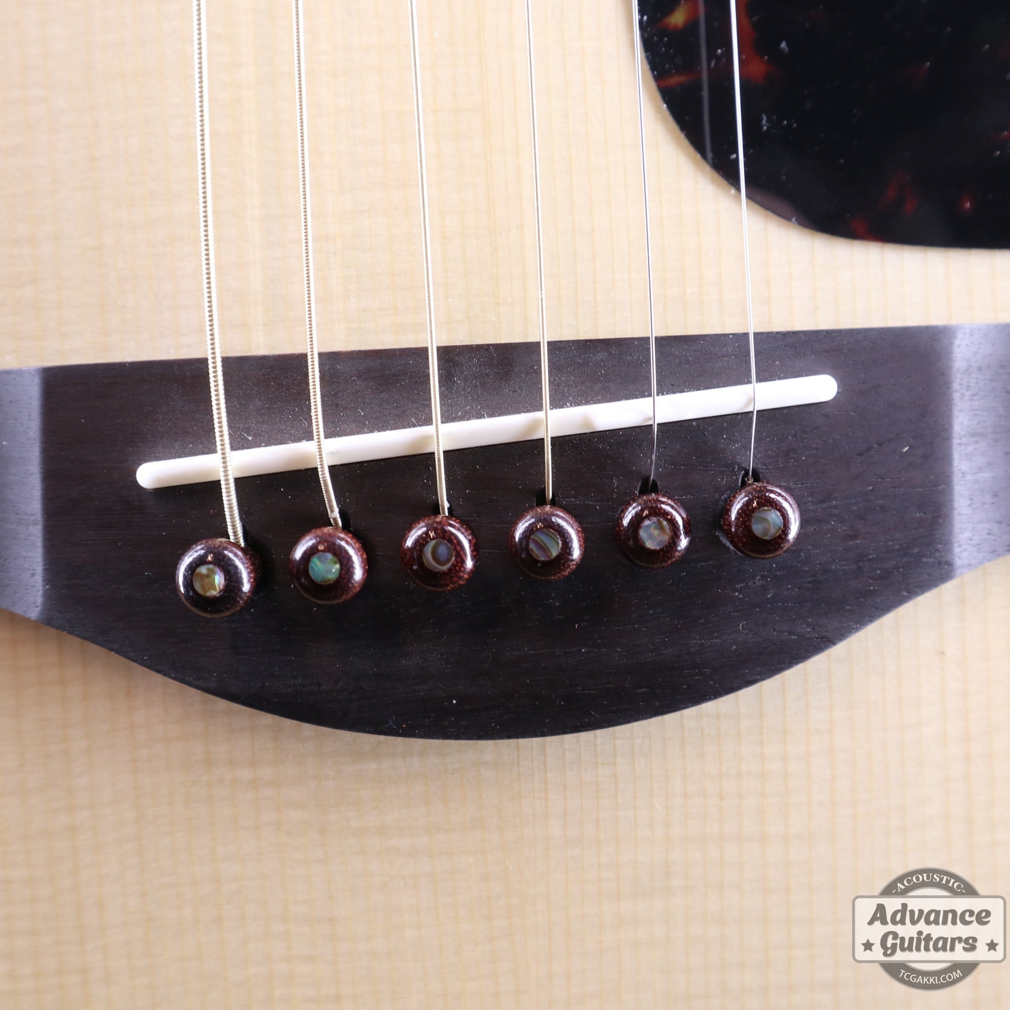 Preciso Wood Bridge Pin & End Pin Set（Rosewood & Abalone Dot） - TC楽器 - TCGAKKI