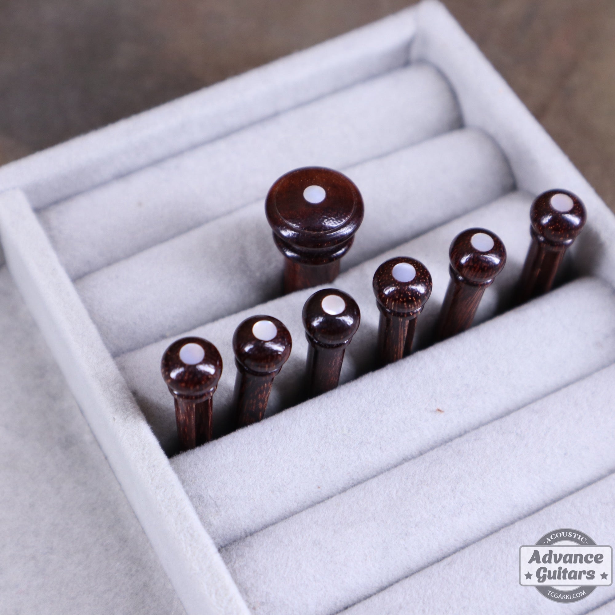 Preciso Wood Bridge Pin & End Pin Set（Rosewood & Mother of Pearl Dot） - TC楽器 - TCGAKKI