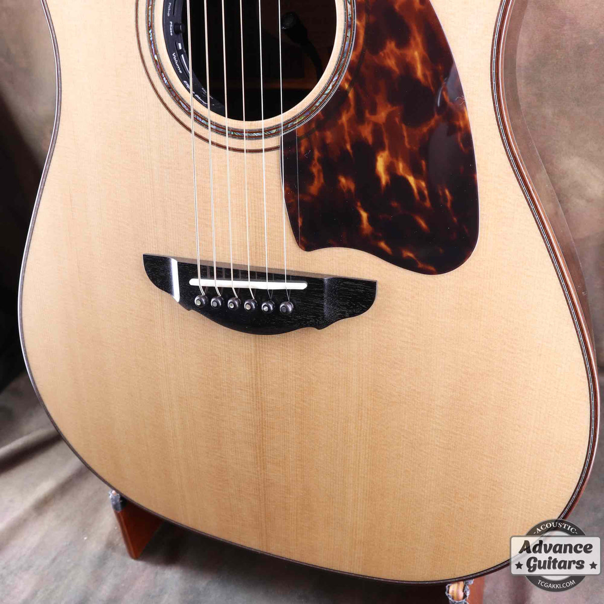 Premium Terry PTJ-100C MS GRAPE “No.3” [Shipping Free〜8/31] - TC楽器 - TCGAKKI