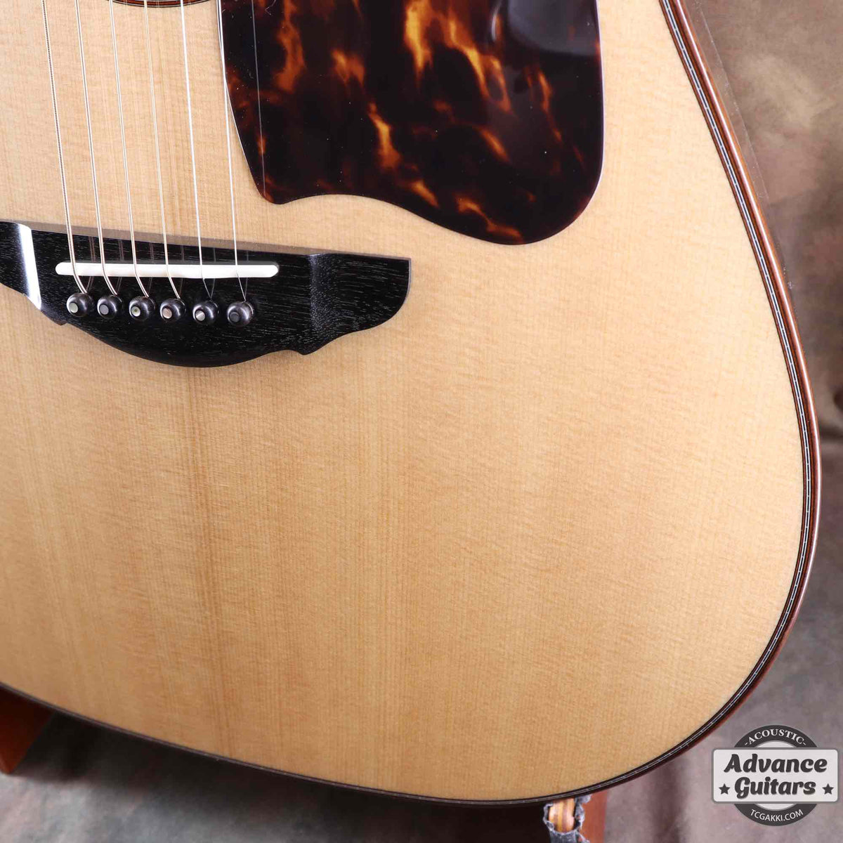 Premium Terry PTJ-100C MS GRAPE “No.3” [Shipping Free〜8/31] - TC楽器 - TCGAKKI