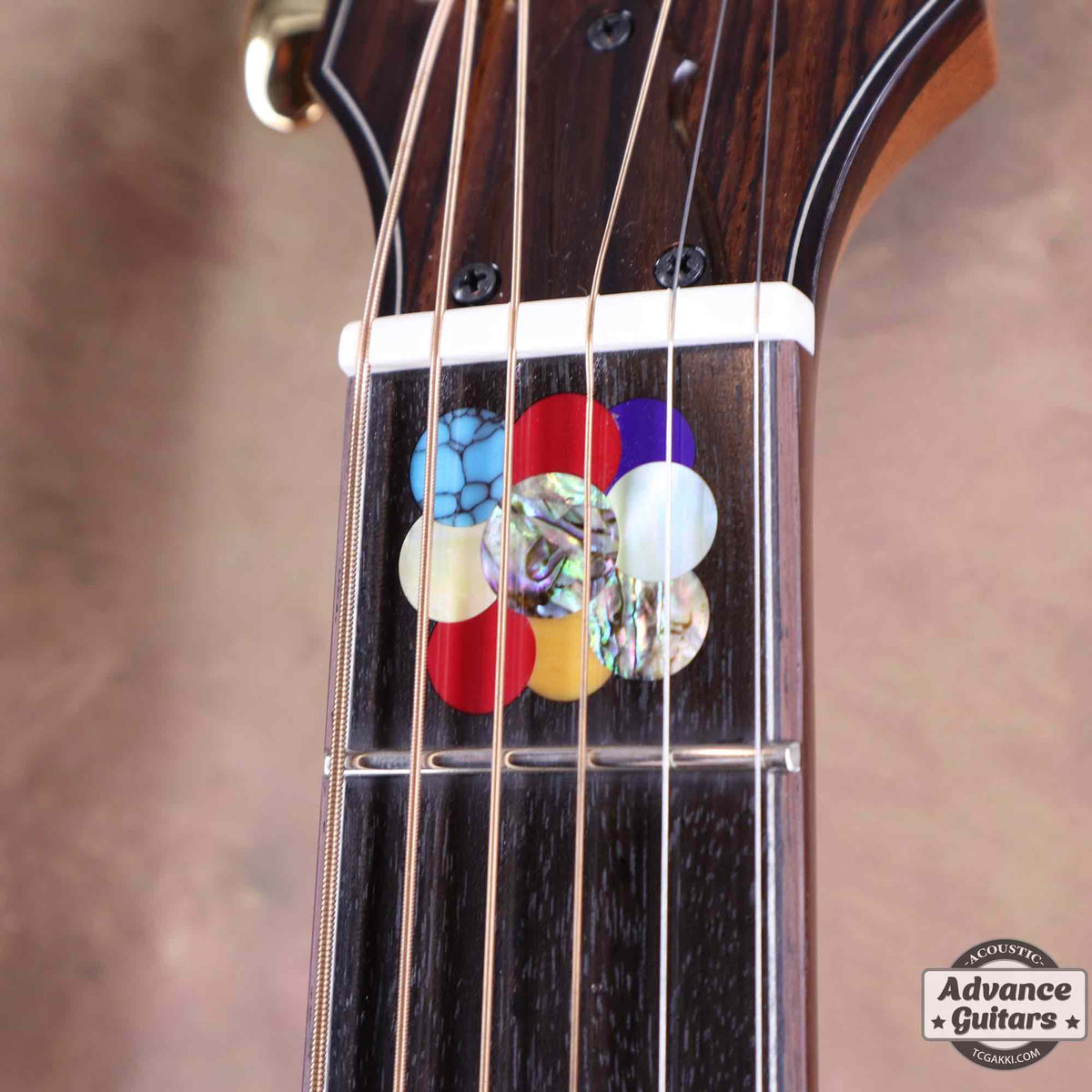 Premium Terry PTJ-100C MS GRAPE “No.3” [Shipping Free〜8/31] - TC楽器 - TCGAKKI