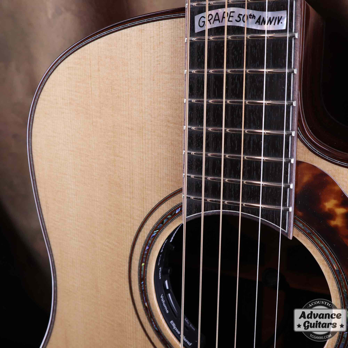 Premium Terry PTJ-100C MS GRAPE “No.3” [Shipping Free〜8/31] - TC楽器 - TCGAKKI