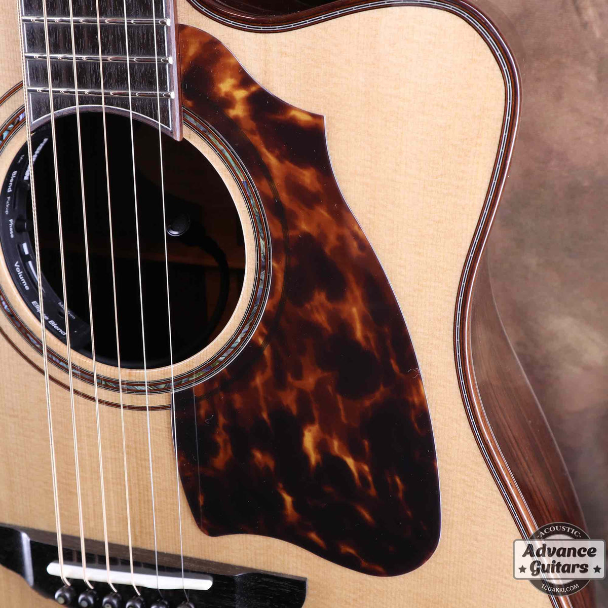 Premium Terry PTJ-100C MS GRAPE “No.3” [Shipping Free〜8/31] - TC楽器 - TCGAKKI