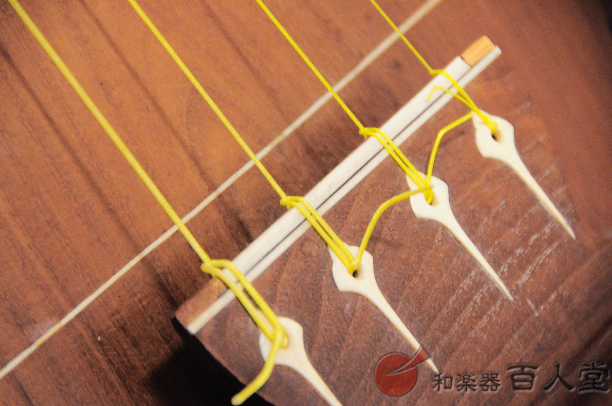 錦琵琶 (四絃五柱薩摩琵琶) - TC楽器 - TCGAKKI