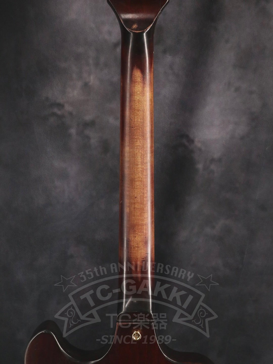 RD Artist - TC楽器 - TCGAKKI