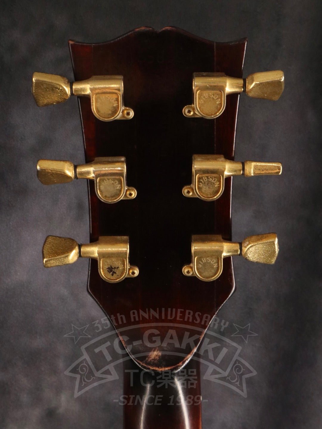 RD Artist - TC楽器 - TCGAKKI