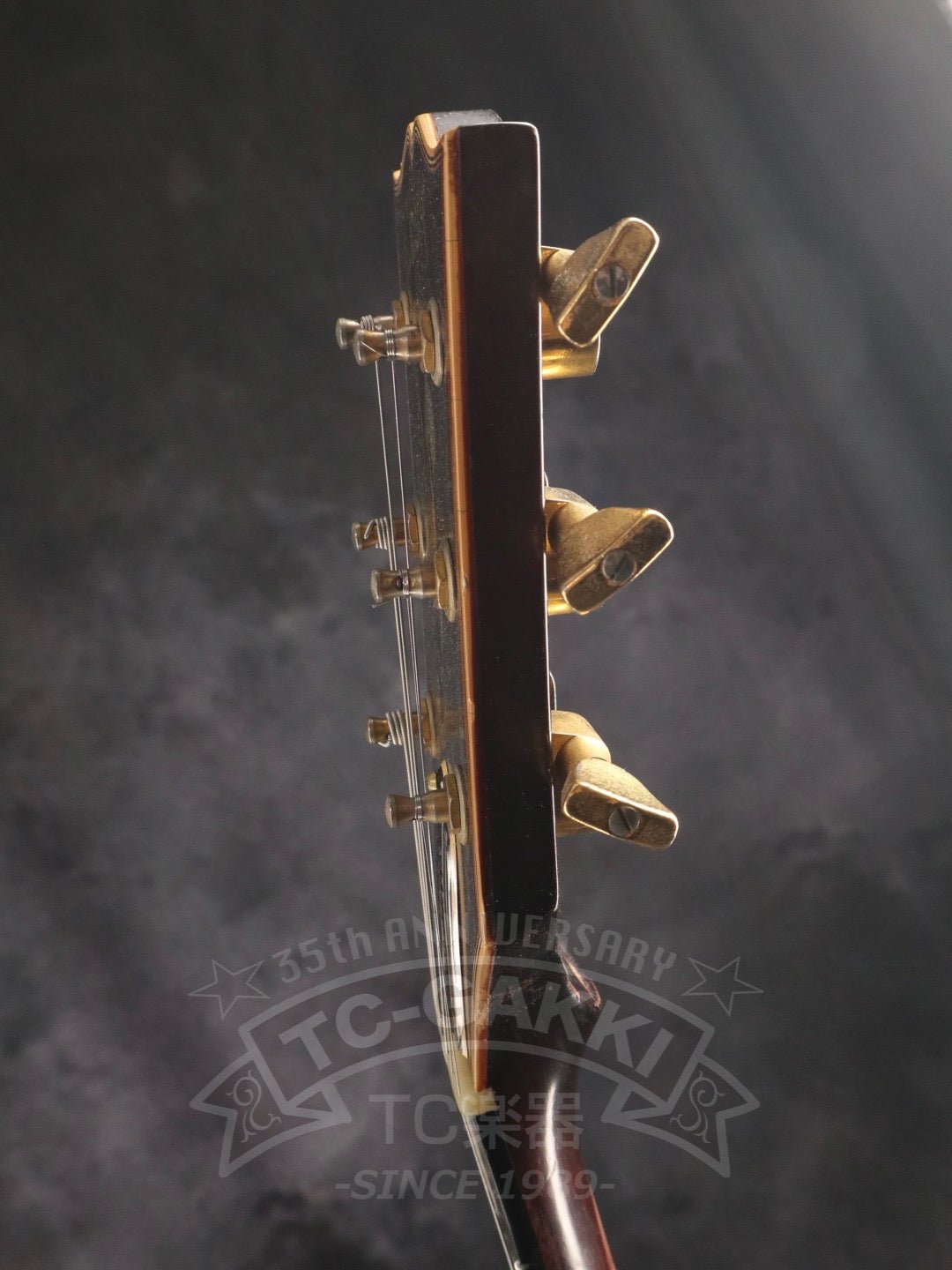 RD Artist - TC楽器 - TCGAKKI