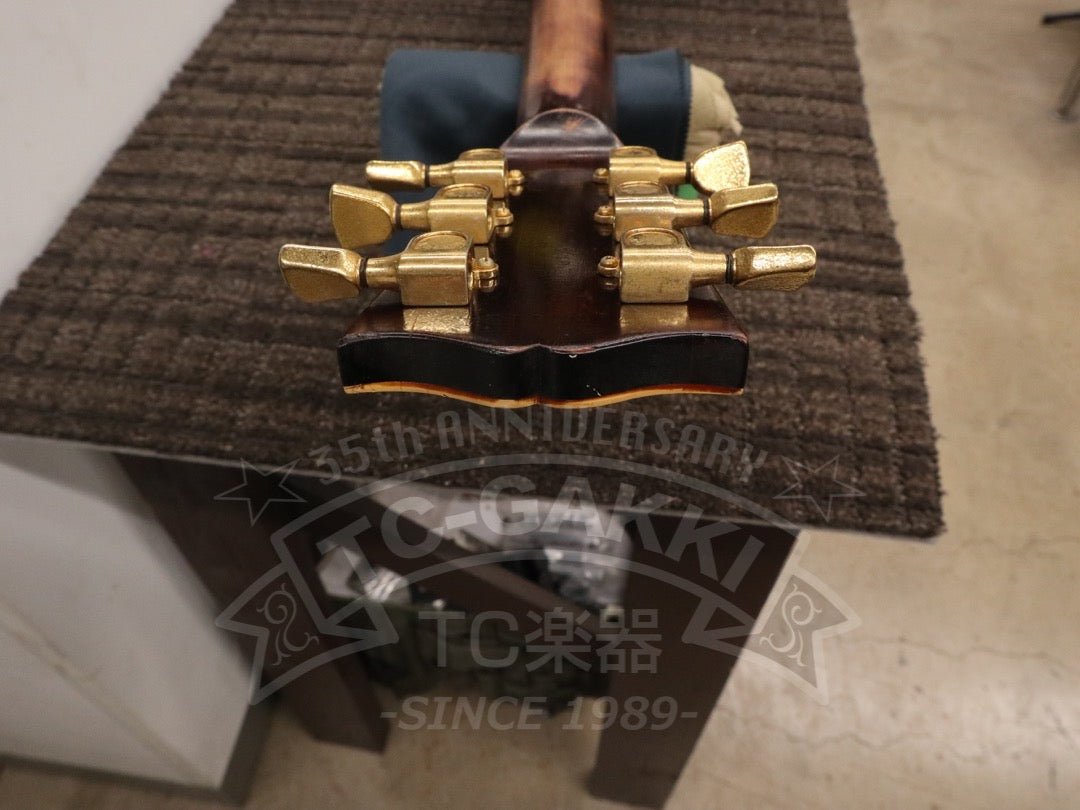 RD Artist - TC楽器 - TCGAKKI