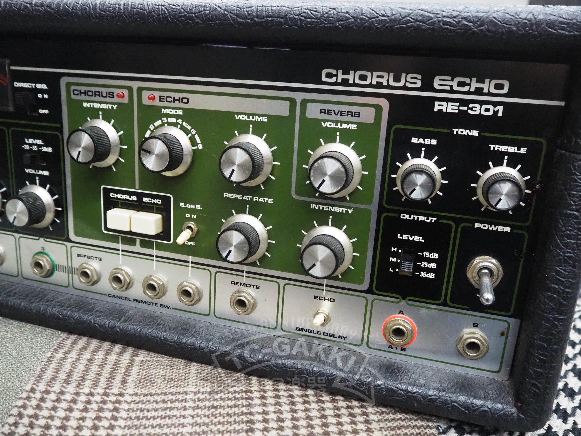 RE-301 CHORUS ECHO