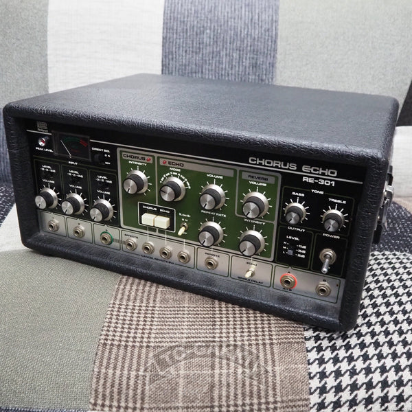 re-301-chorus-echo-