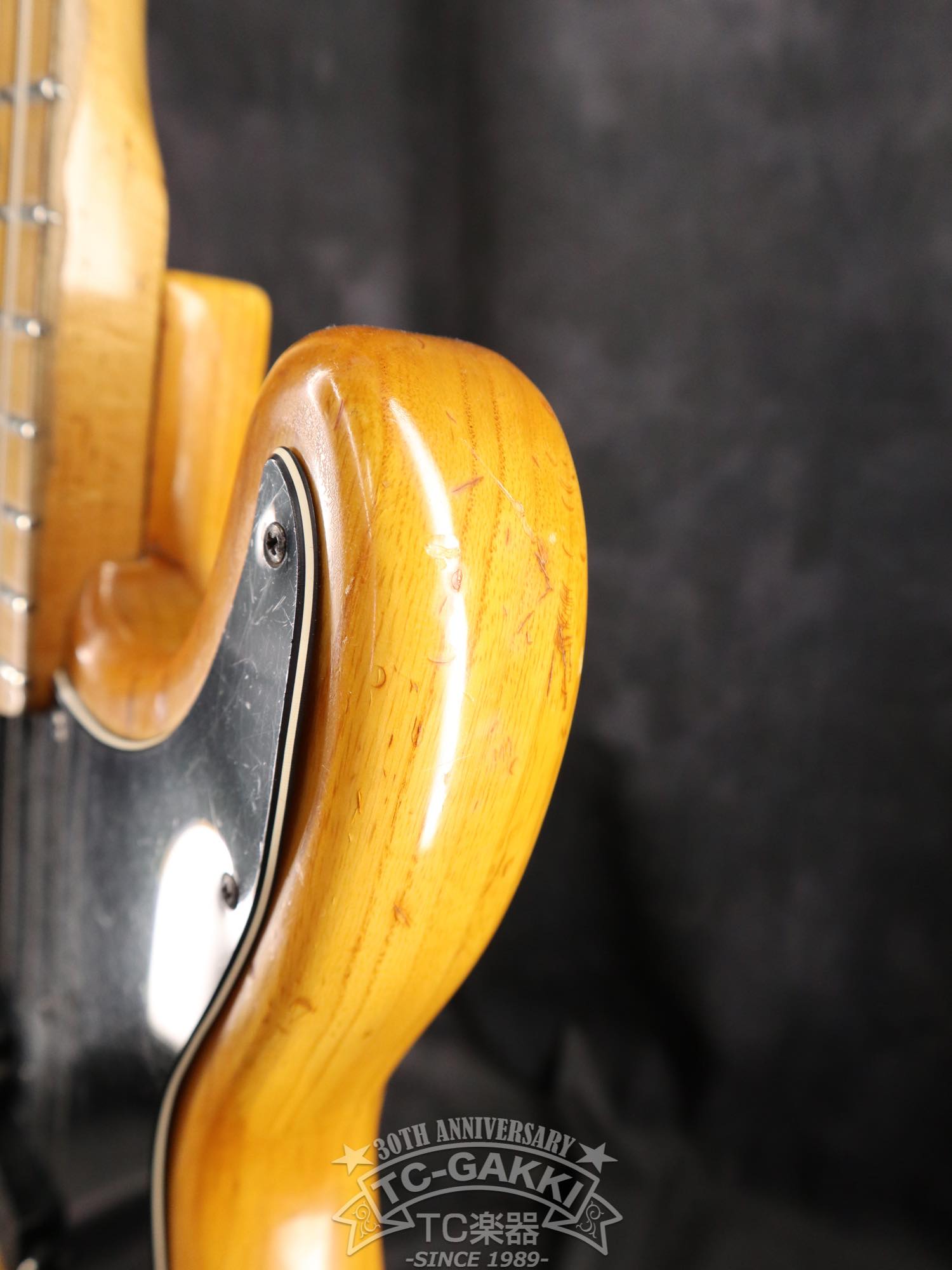 Fender 1977 PRECISION BASS - TC楽器 - TCGAKKI