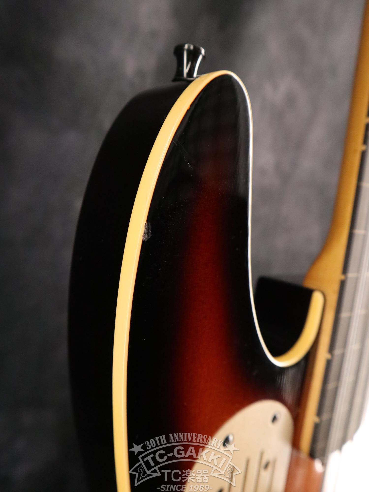 Godin LR Baggs Model Semi-Acoustic Fretless Bass
