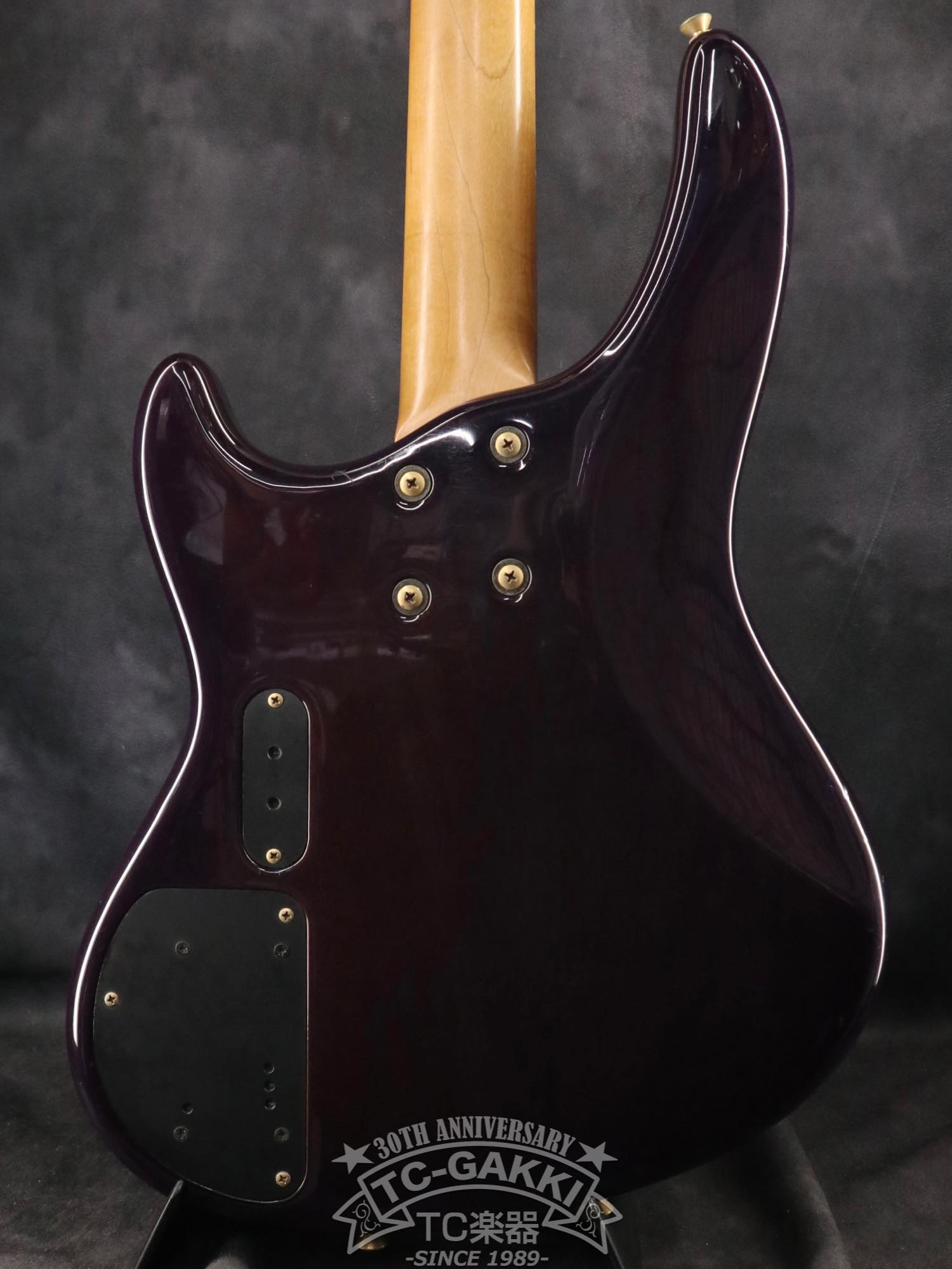 P-Project PUM-4