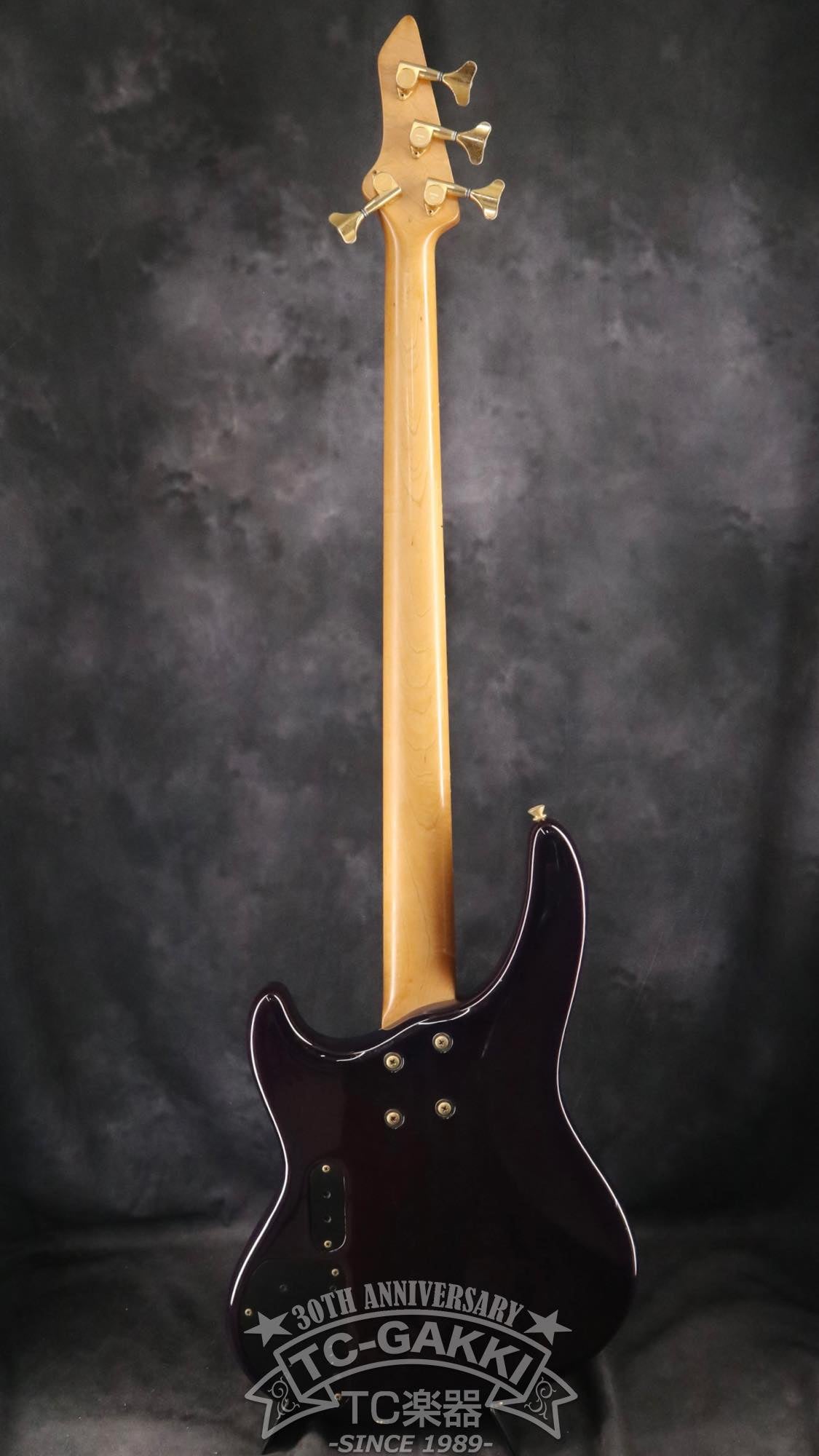 P-Project PUM-4