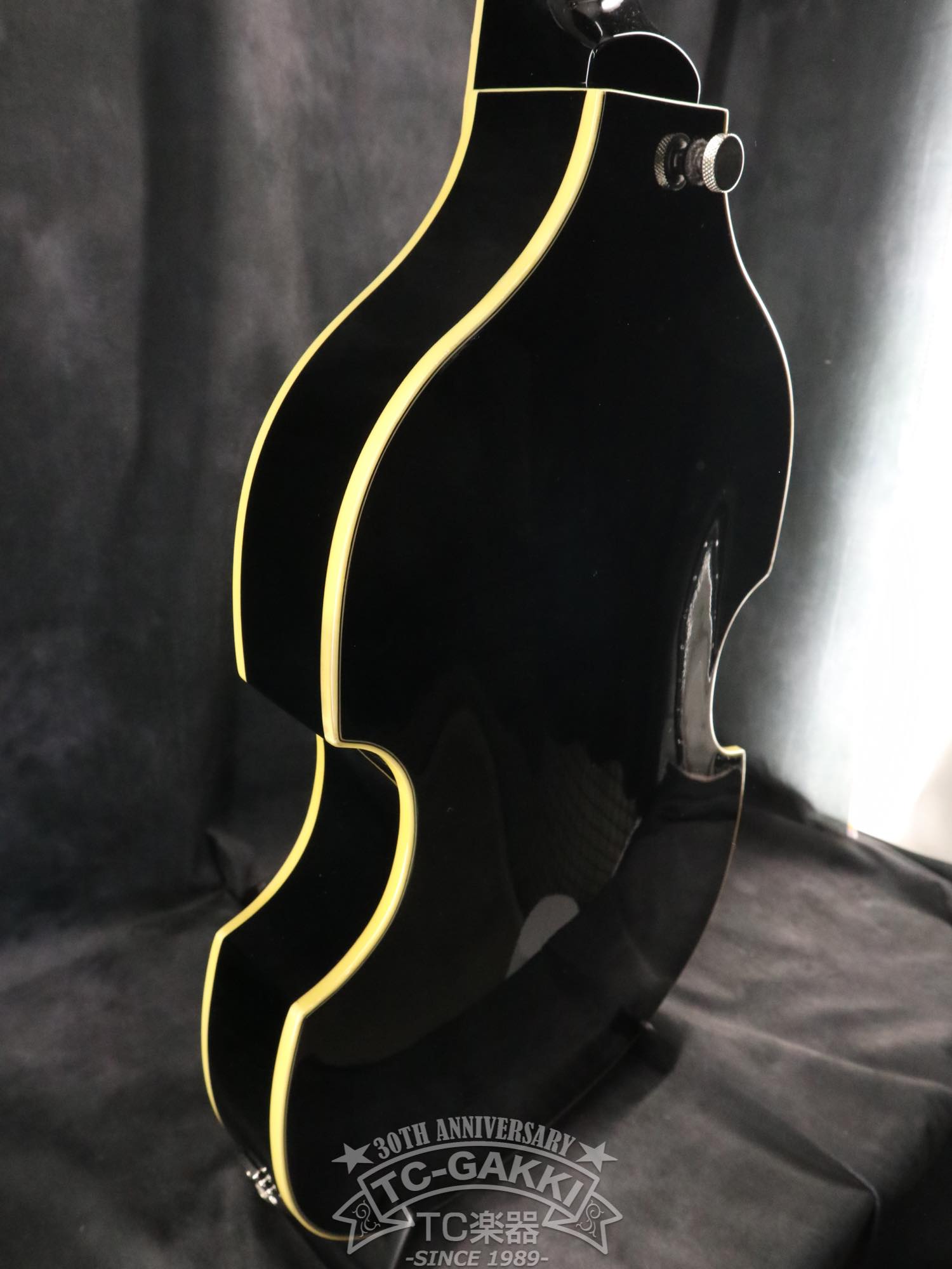 Duesenberg DBV-2T Violin Bass