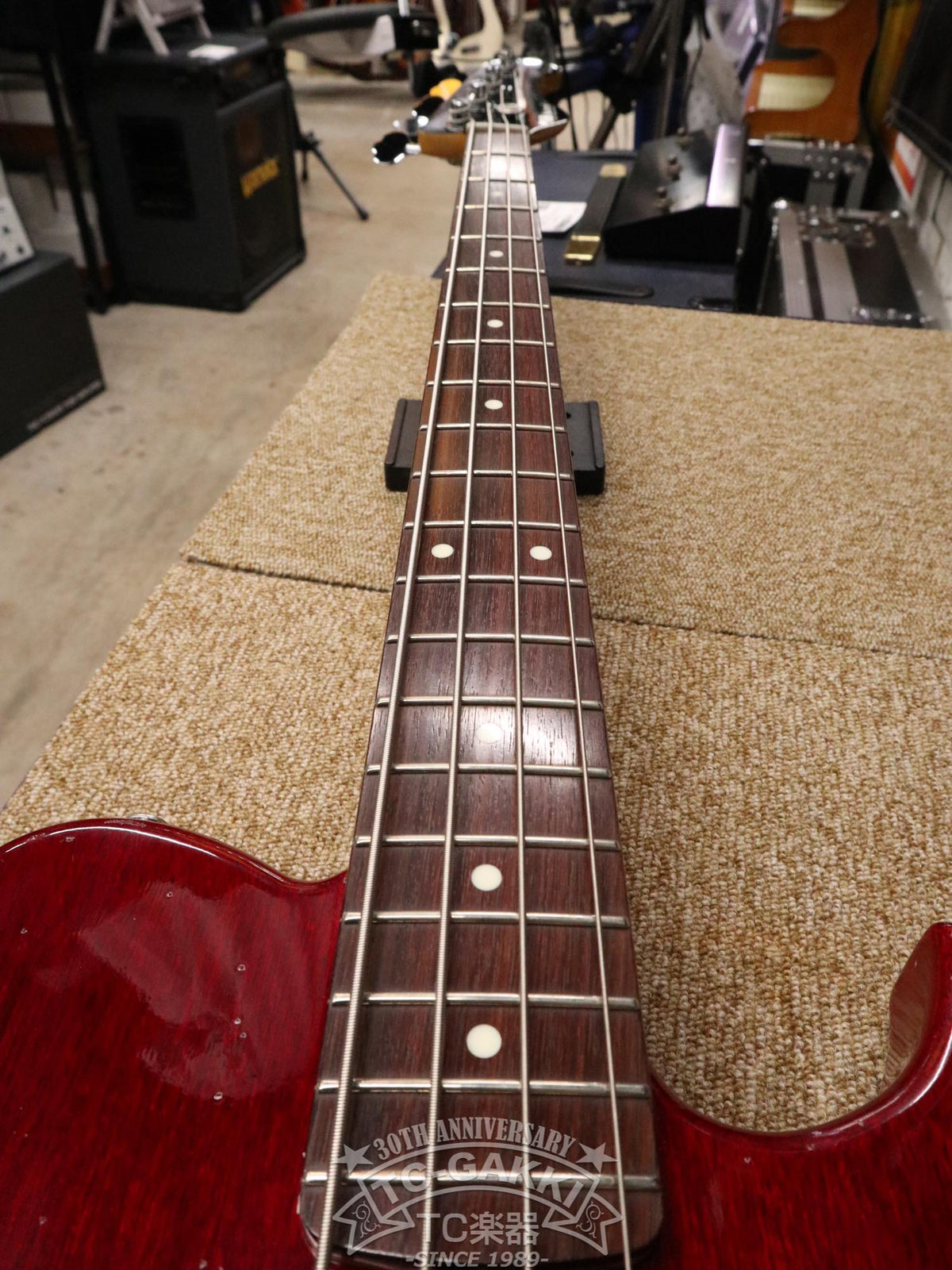 T.S factory 151A-TSSP2 Bass