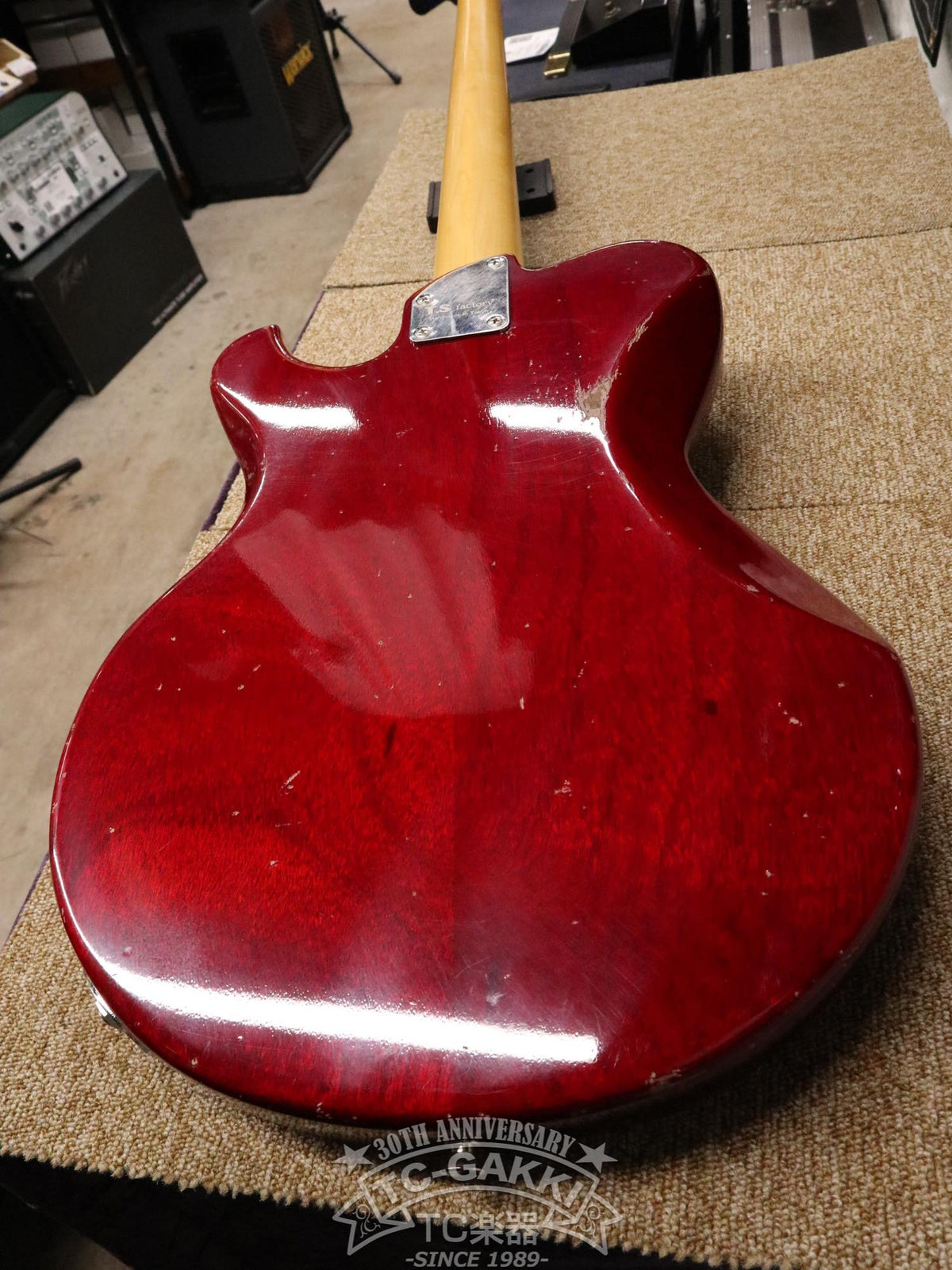 T.S factory 151A-TSSP2 Bass