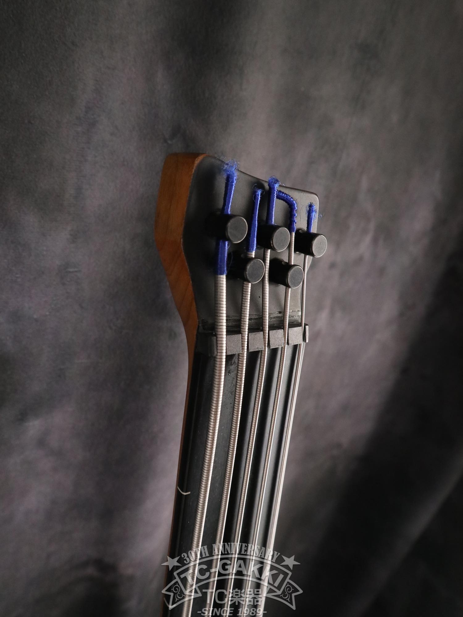 Ibanez 2023 EHB1005F