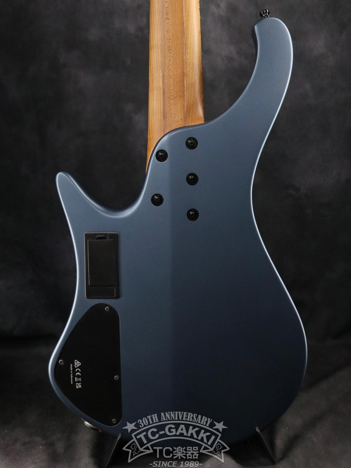 Ibanez 2023 EHB1005F