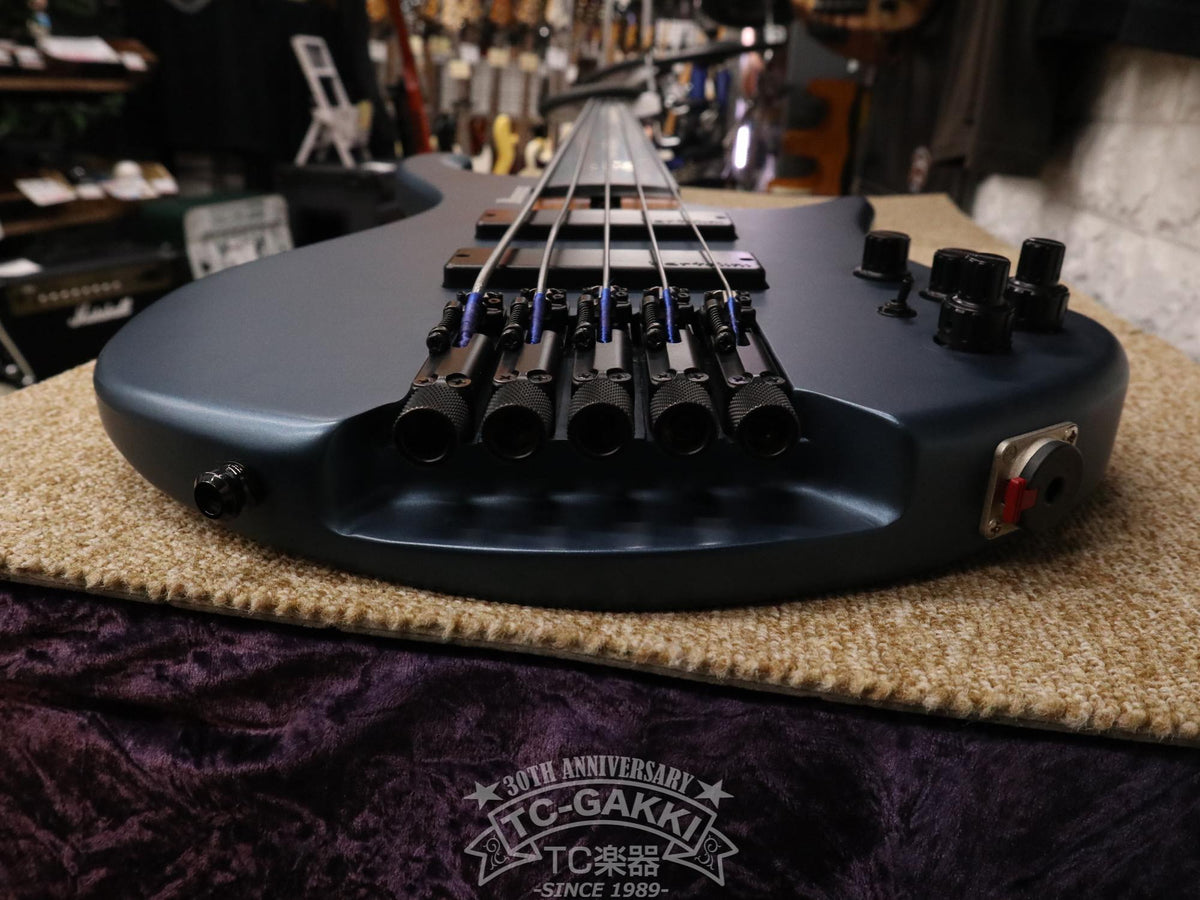 Ibanez 2023 EHB1005F
