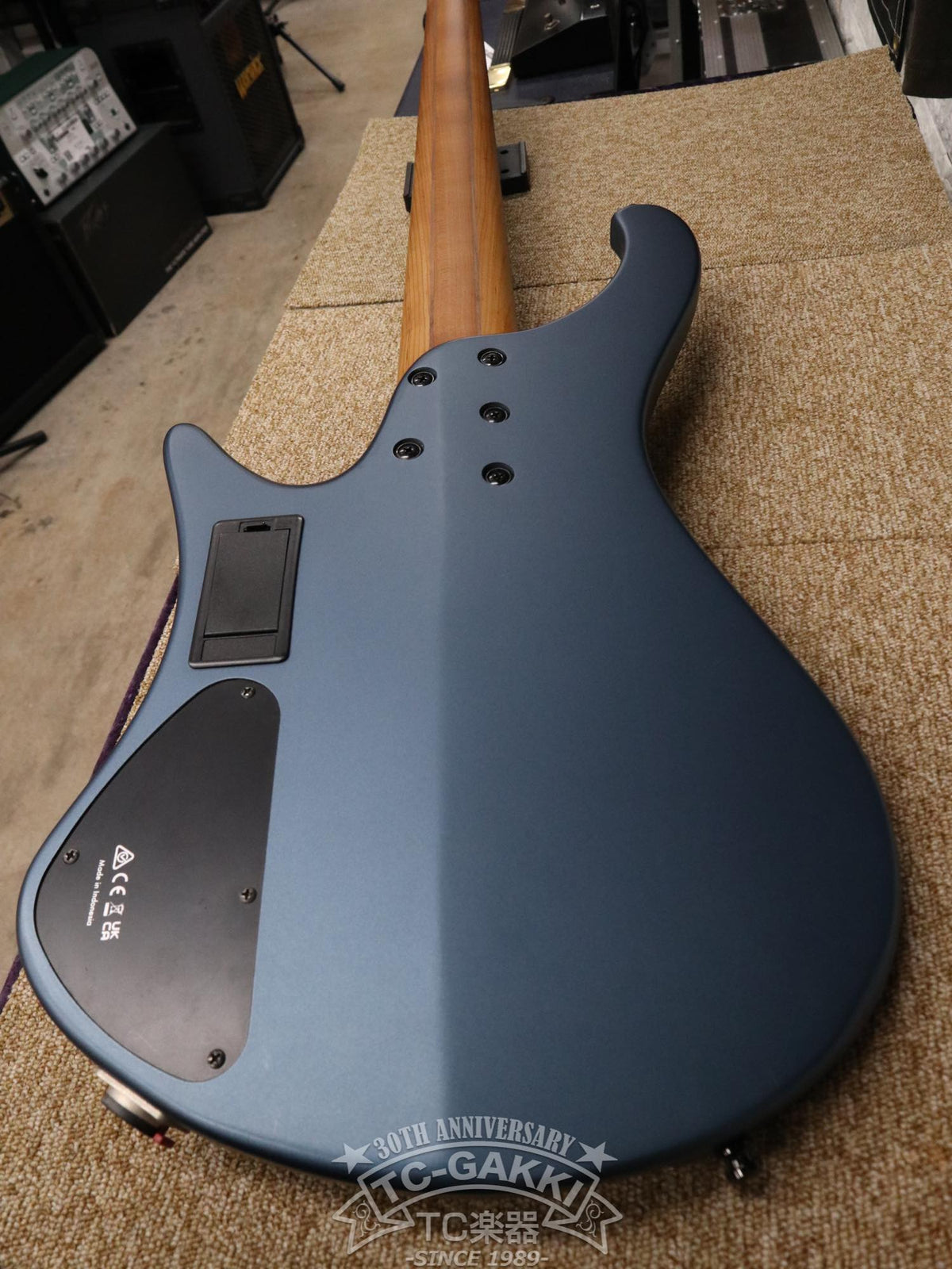 Ibanez 2023 EHB1005F