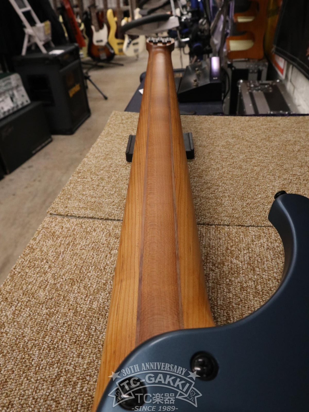 Ibanez 2023 EHB1005F