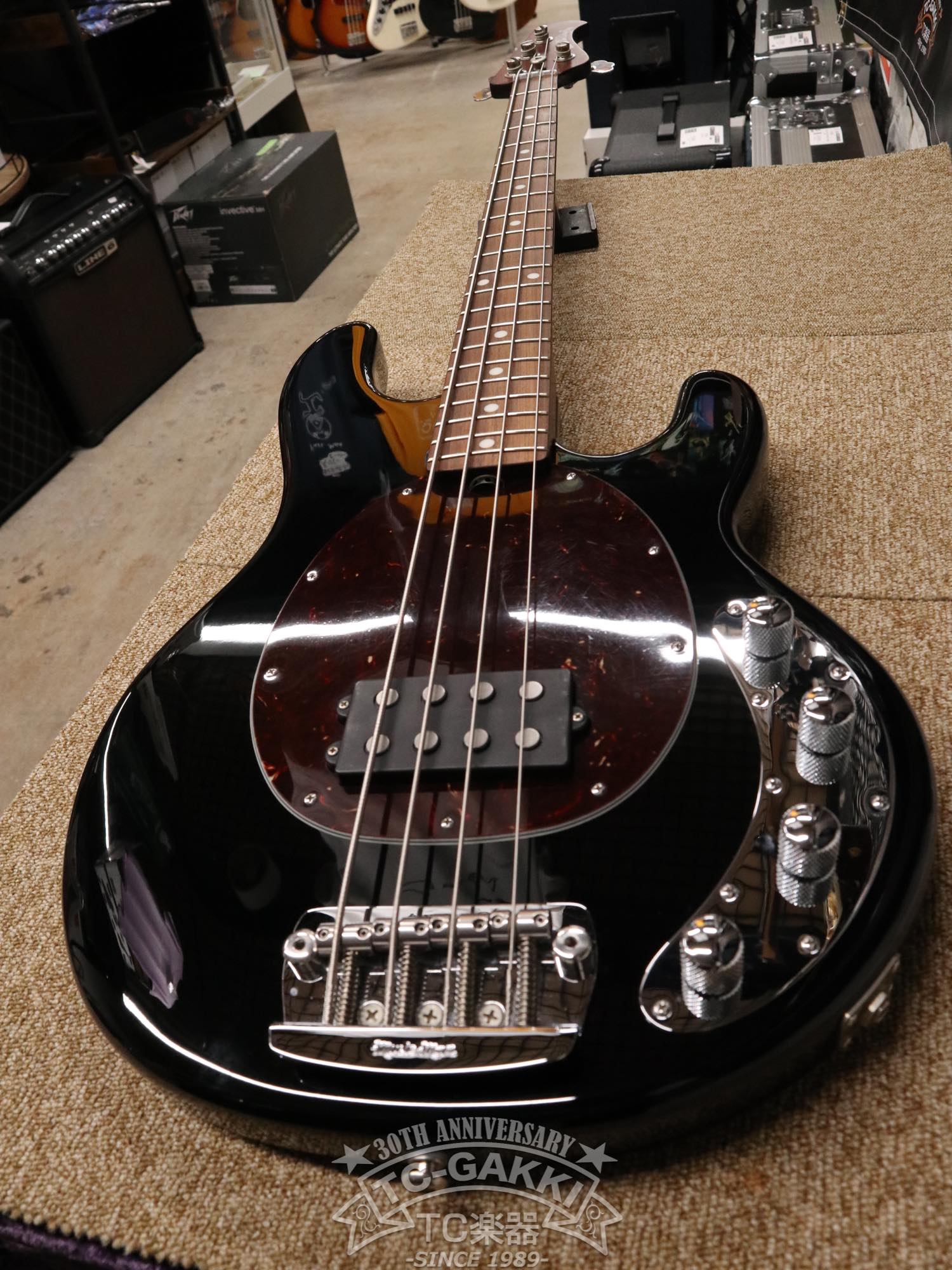 MUSIC MAN 2014 StingRay Rosewood-Neck