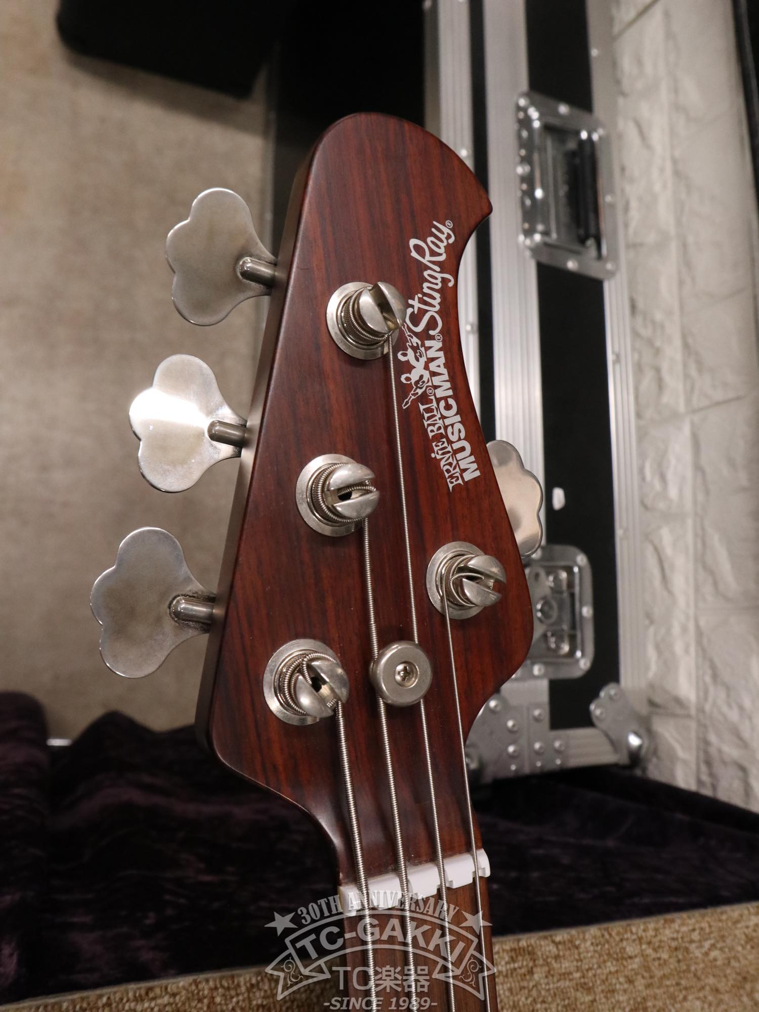 MUSIC MAN 2014 StingRay Rosewood-Neck