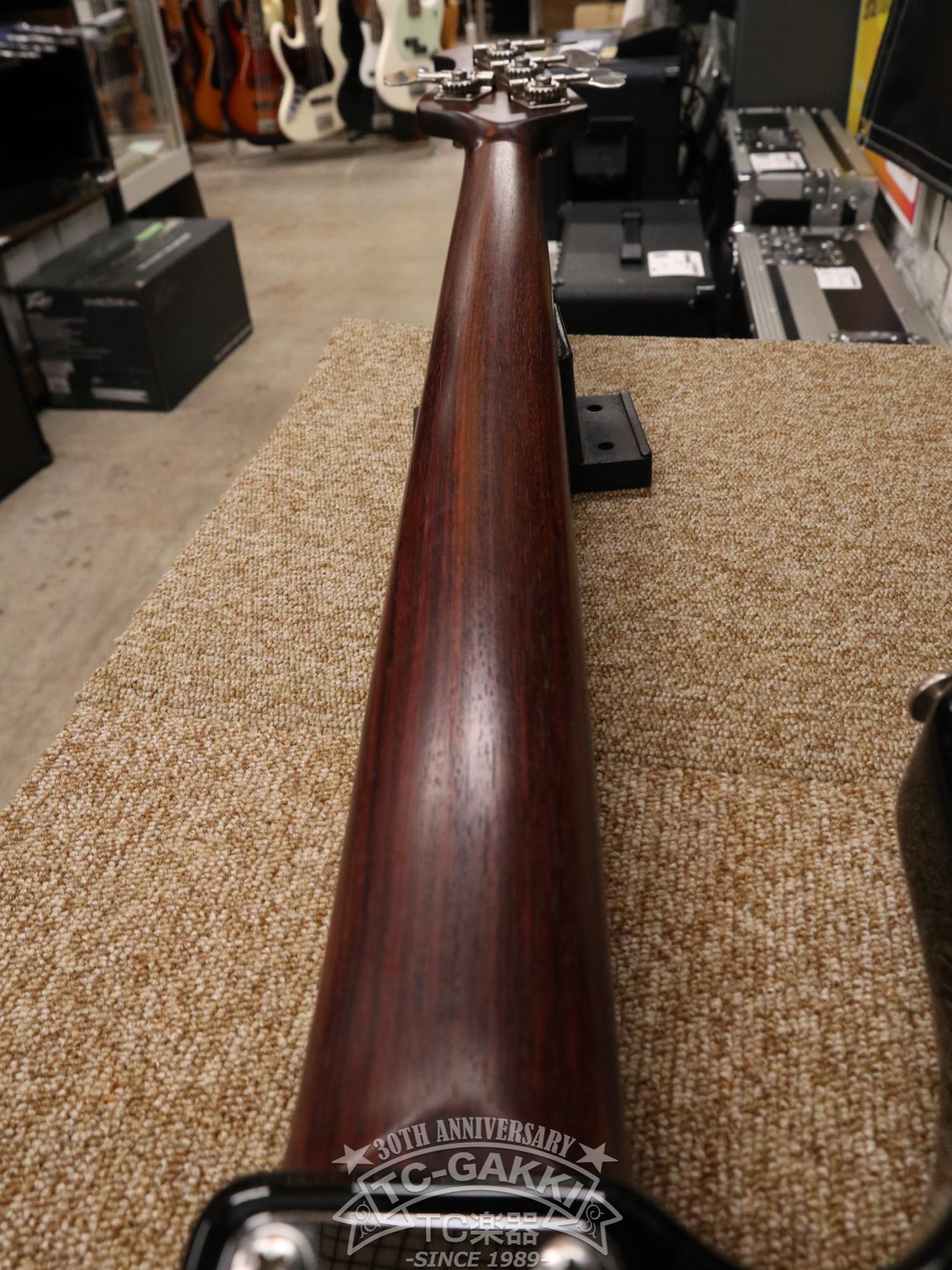 MUSIC MAN 2014 StingRay Rosewood-Neck