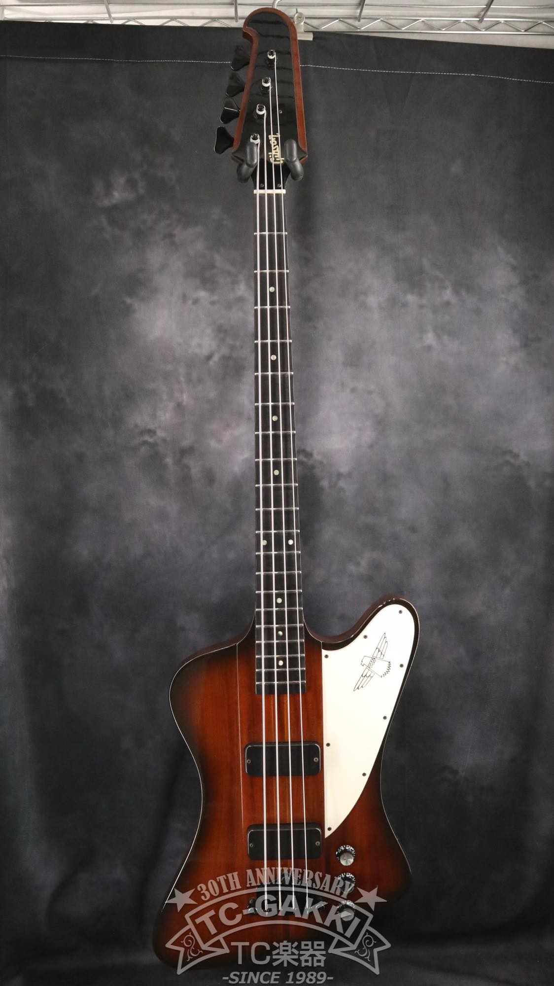 Gibson 1991 Thunderbird IV