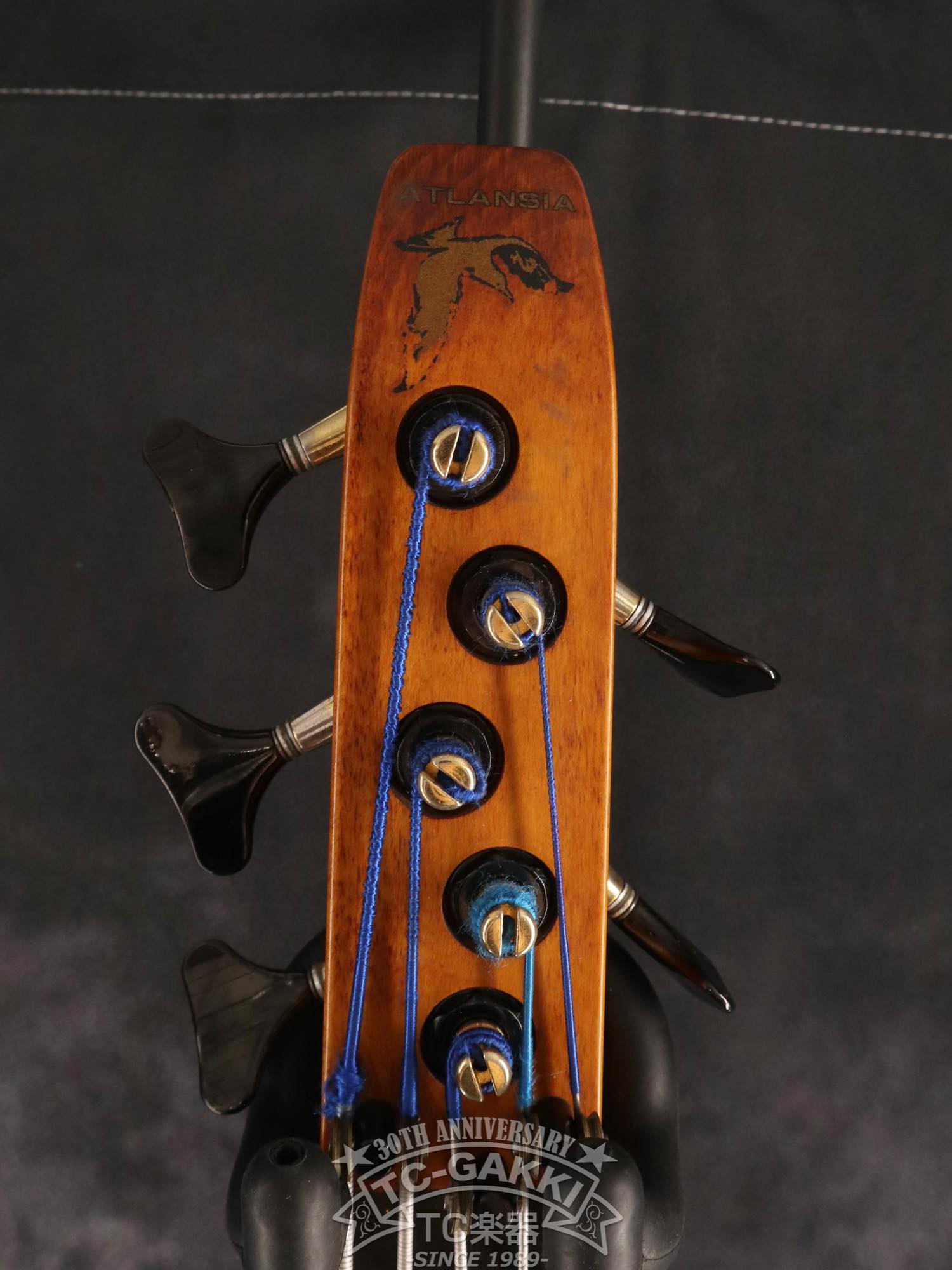 1990 스텔스 스페셜 FL 5세대