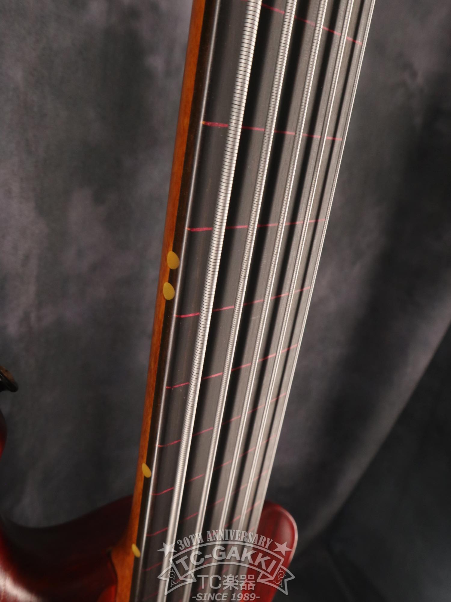 1990 스텔스 스페셜 FL 5세대