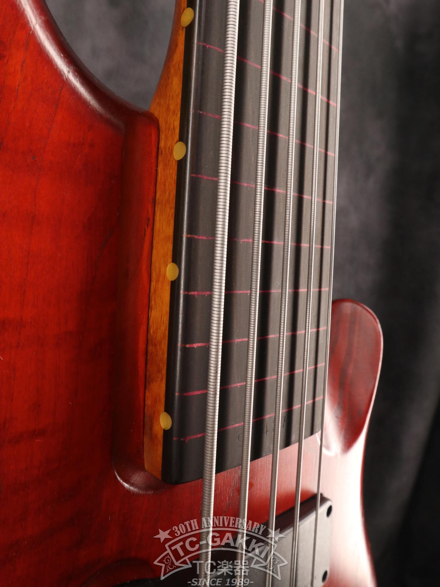 1990 스텔스 스페셜 FL 5세대