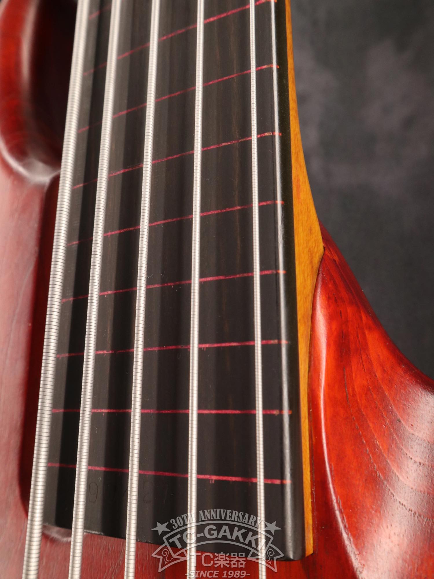 1990 스텔스 스페셜 FL 5세대