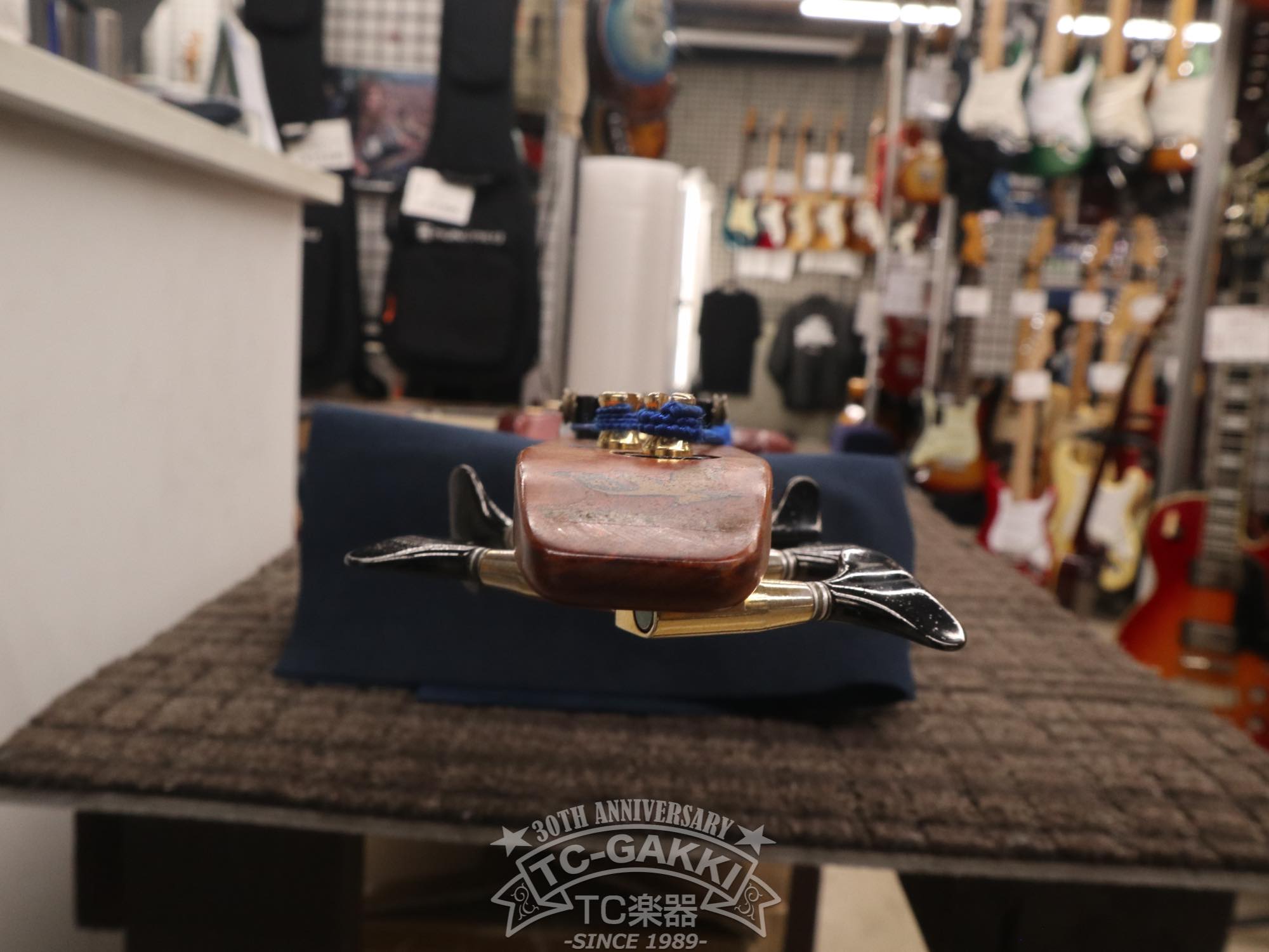 1990 스텔스 스페셜 FL 5세대