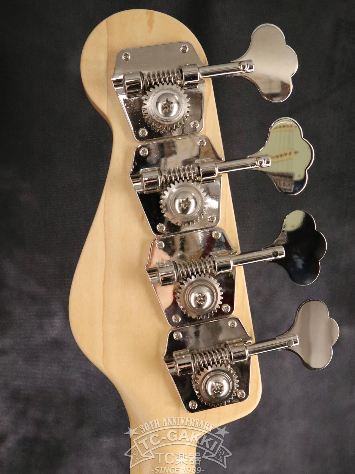 16 Bass Guitars JIMINY PB Zenith