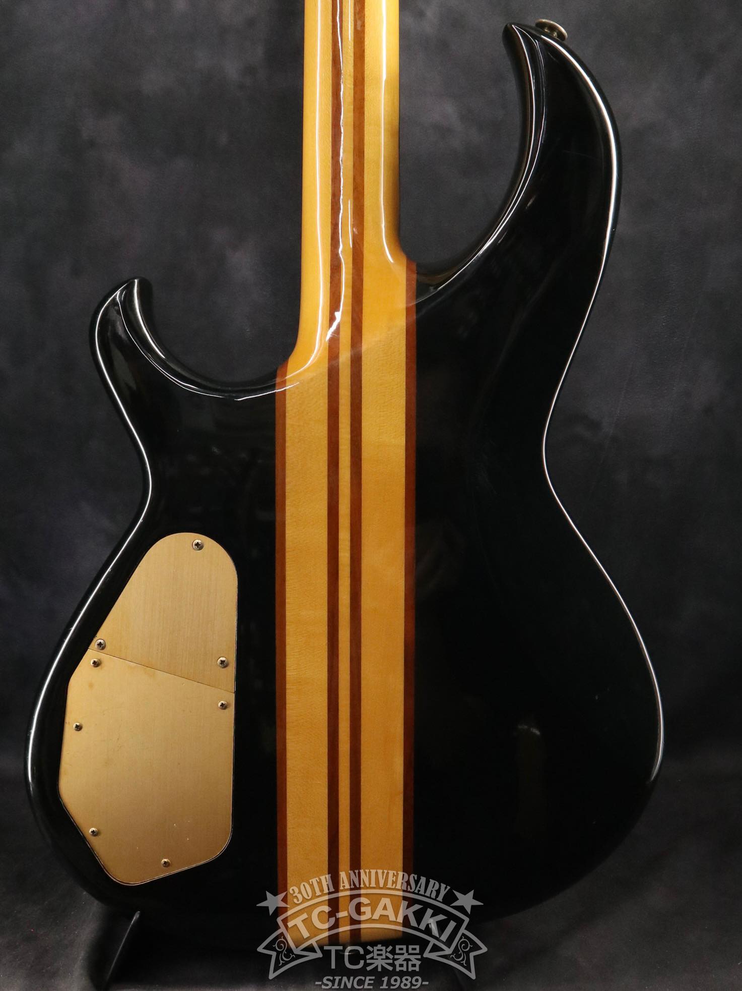 Aria Pro II 1982 SB-1000