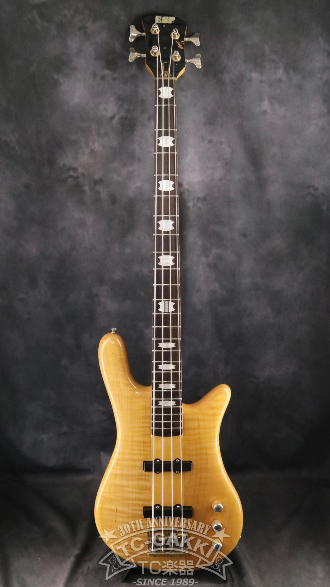 ESP Custom Order Model NS Type