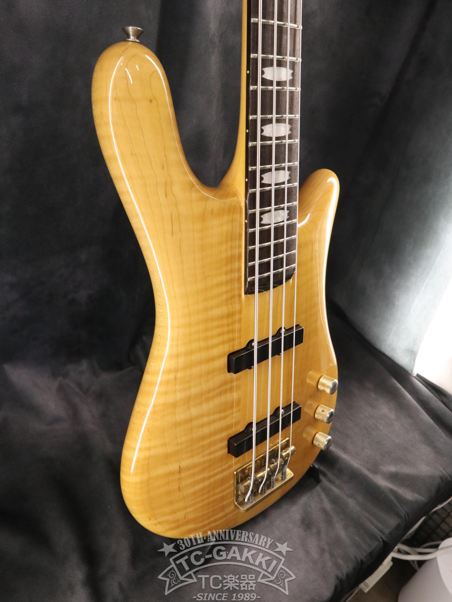 ESP Custom Order Model NS Type