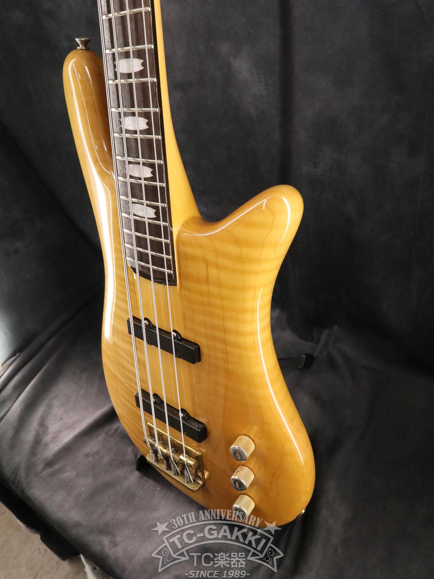ESP Custom Order Model NS Type