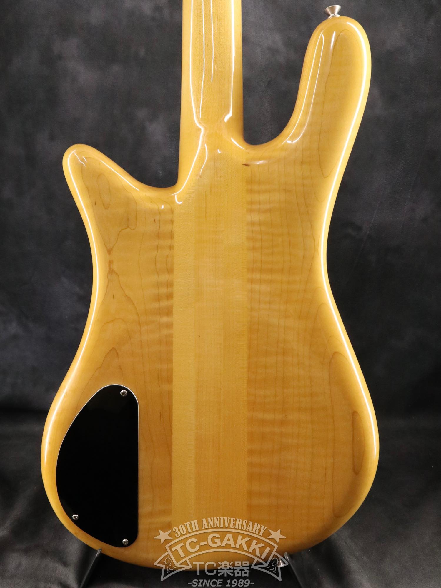 ESP Custom Order Model NS Type
