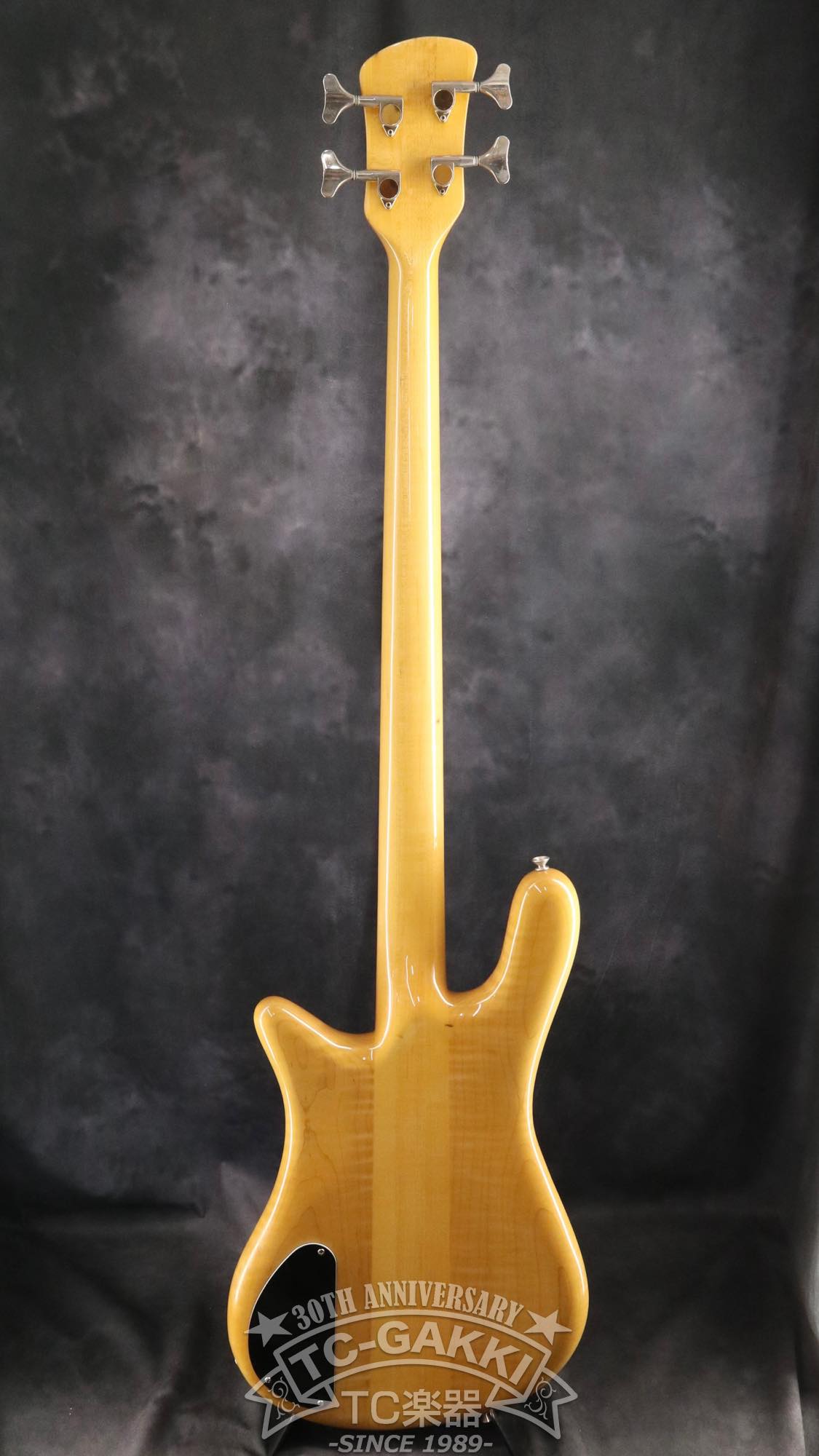ESP Custom Order Model NS Type