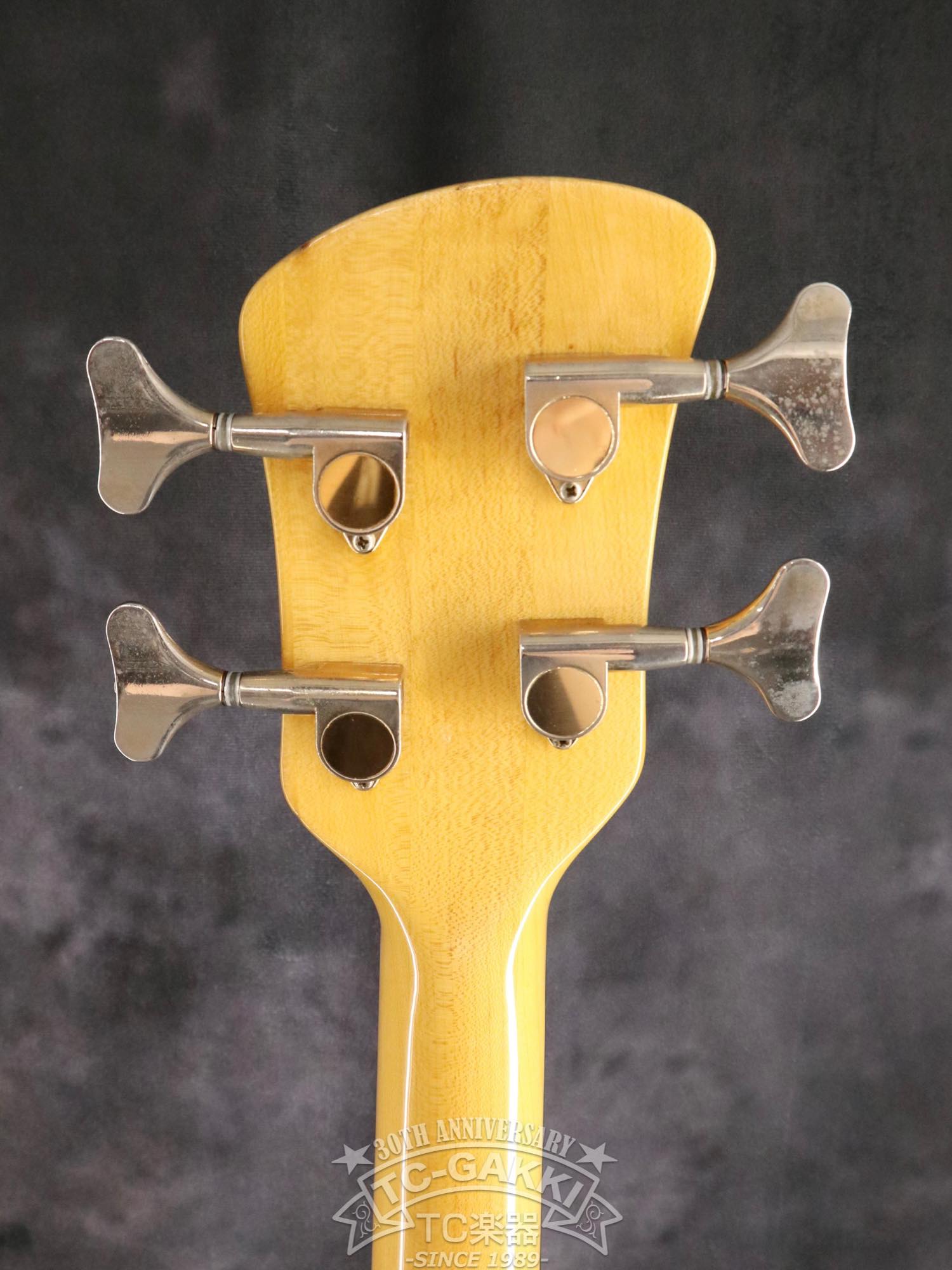 ESP Custom Order Model NS Type